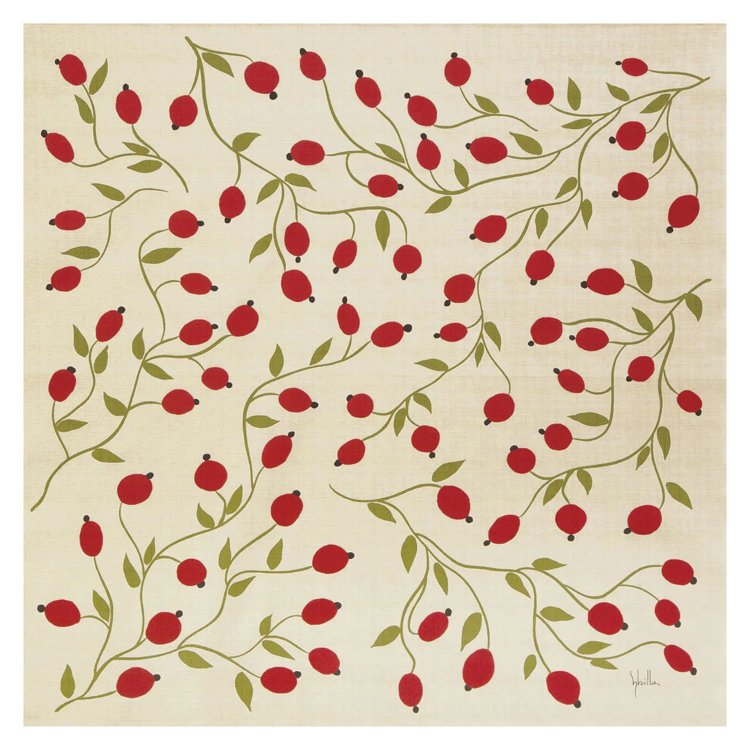 シビラ綿二巾風呂敷 グロセイヤ