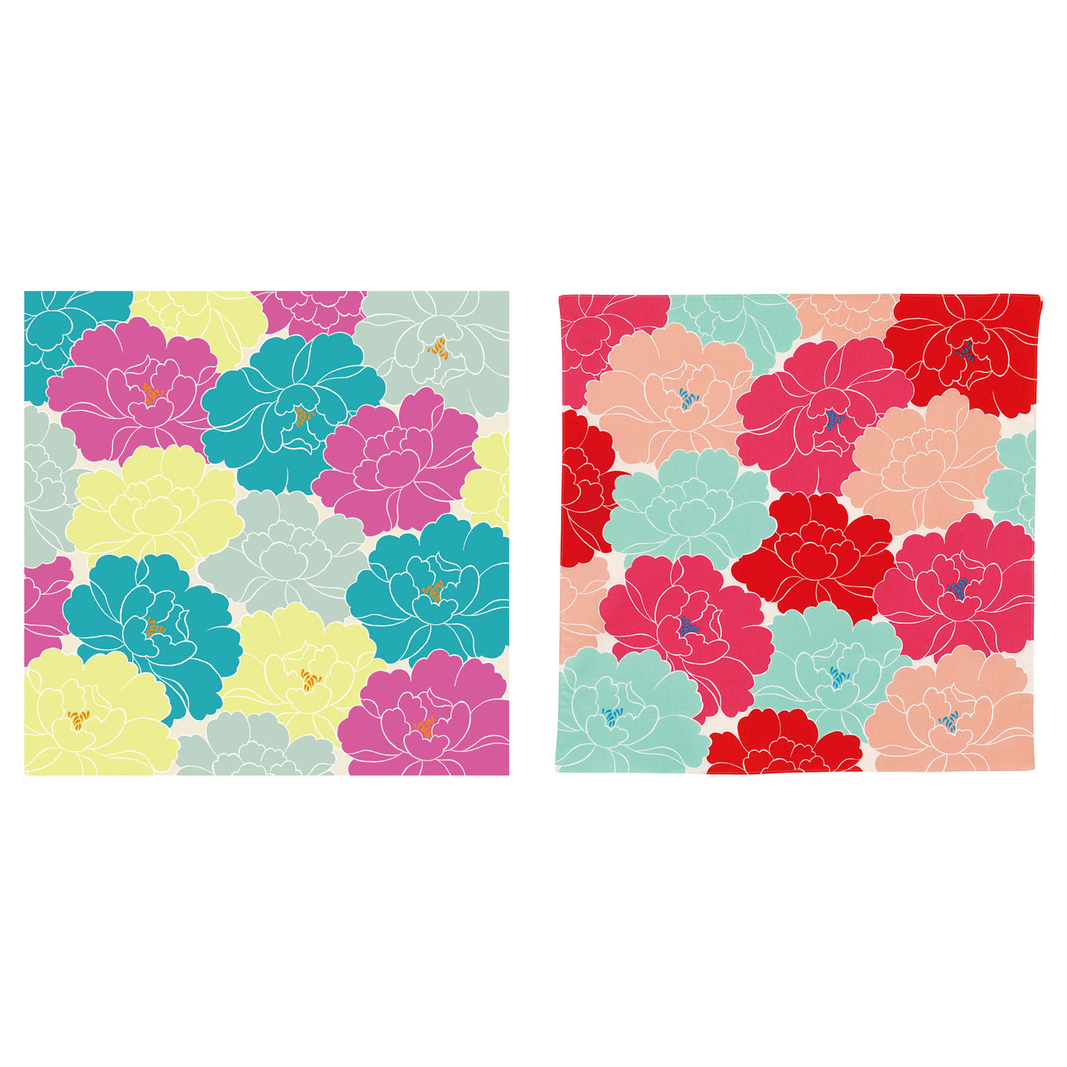 50ひめむすび クラム