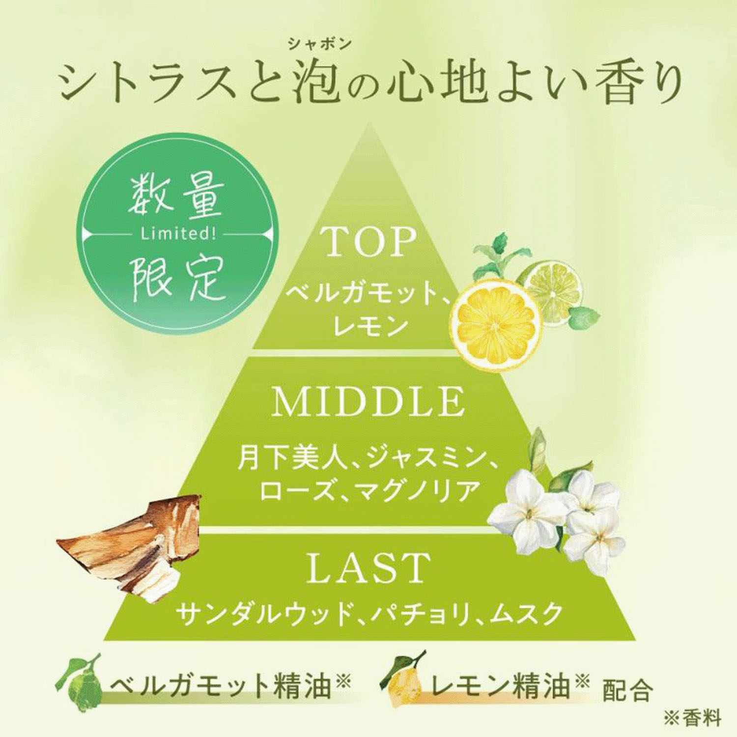 【01：メーカー終了】アクアシャボン オールドパルファム - 画像3