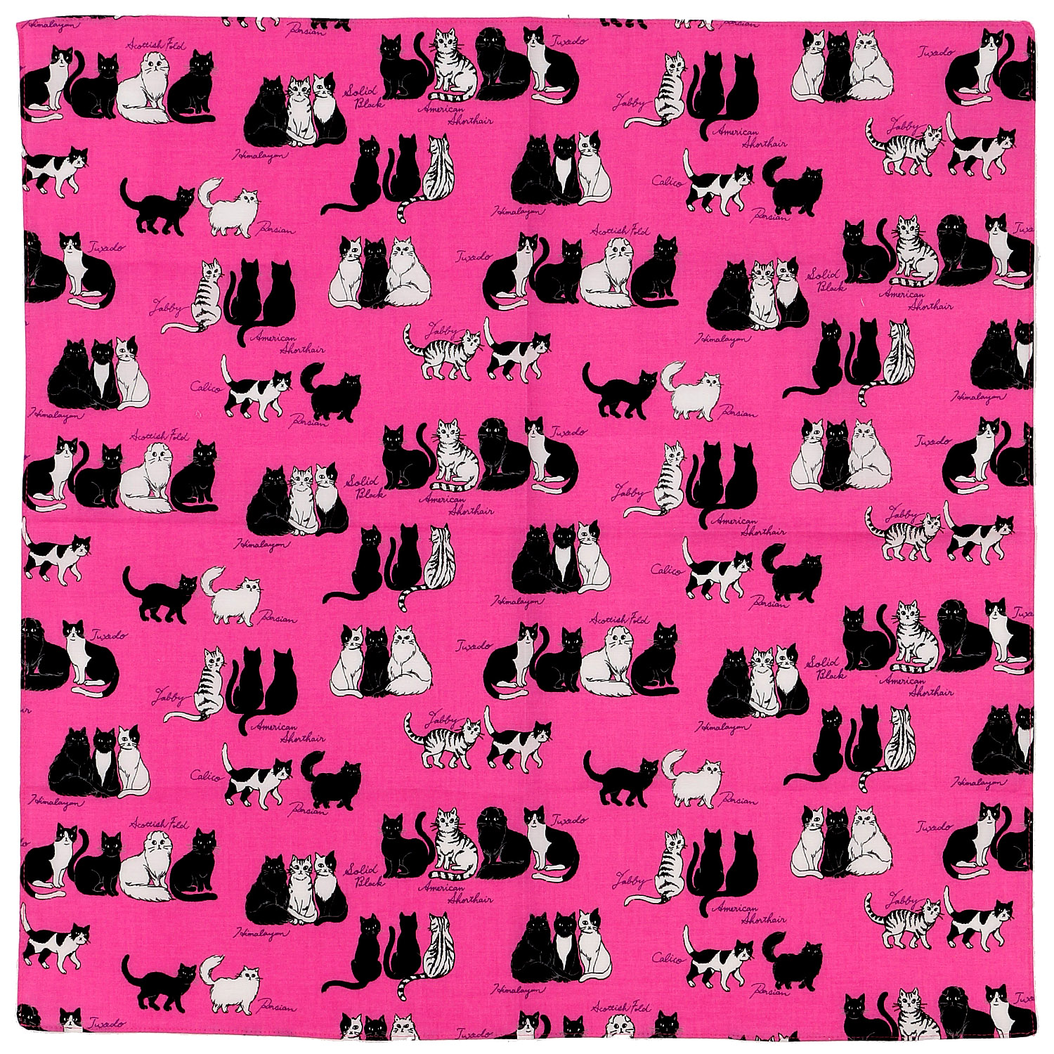 にゃんにゃんハンカチ