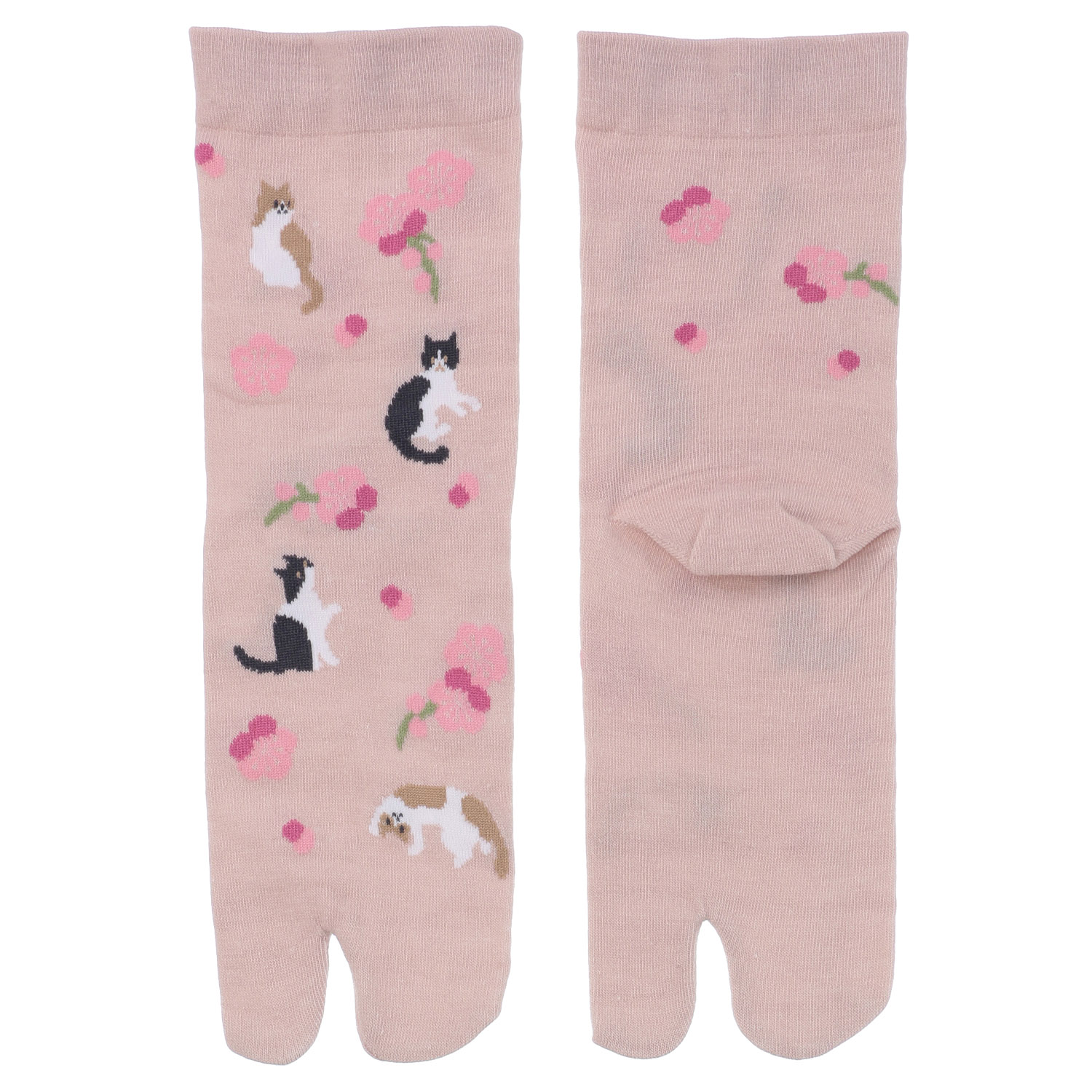 クルー丈 足袋 花と猫 靴下【在庫限り】 - 画像2