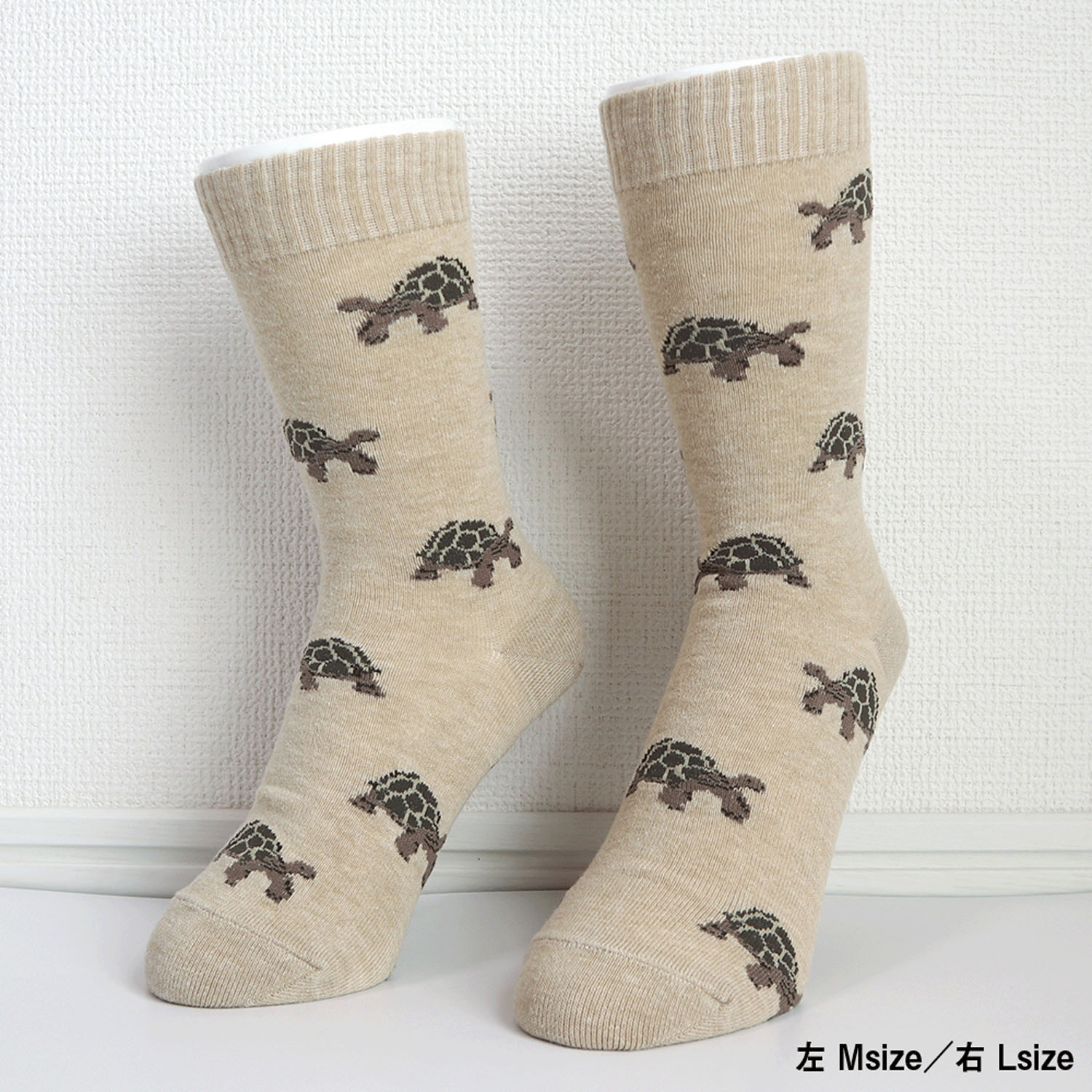 Miita 【Animal】 ガラパゴスゾウガメ - 画像2