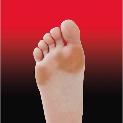 綿混サラリ足まめクッションカバー（1足組） ブラック - 画像6