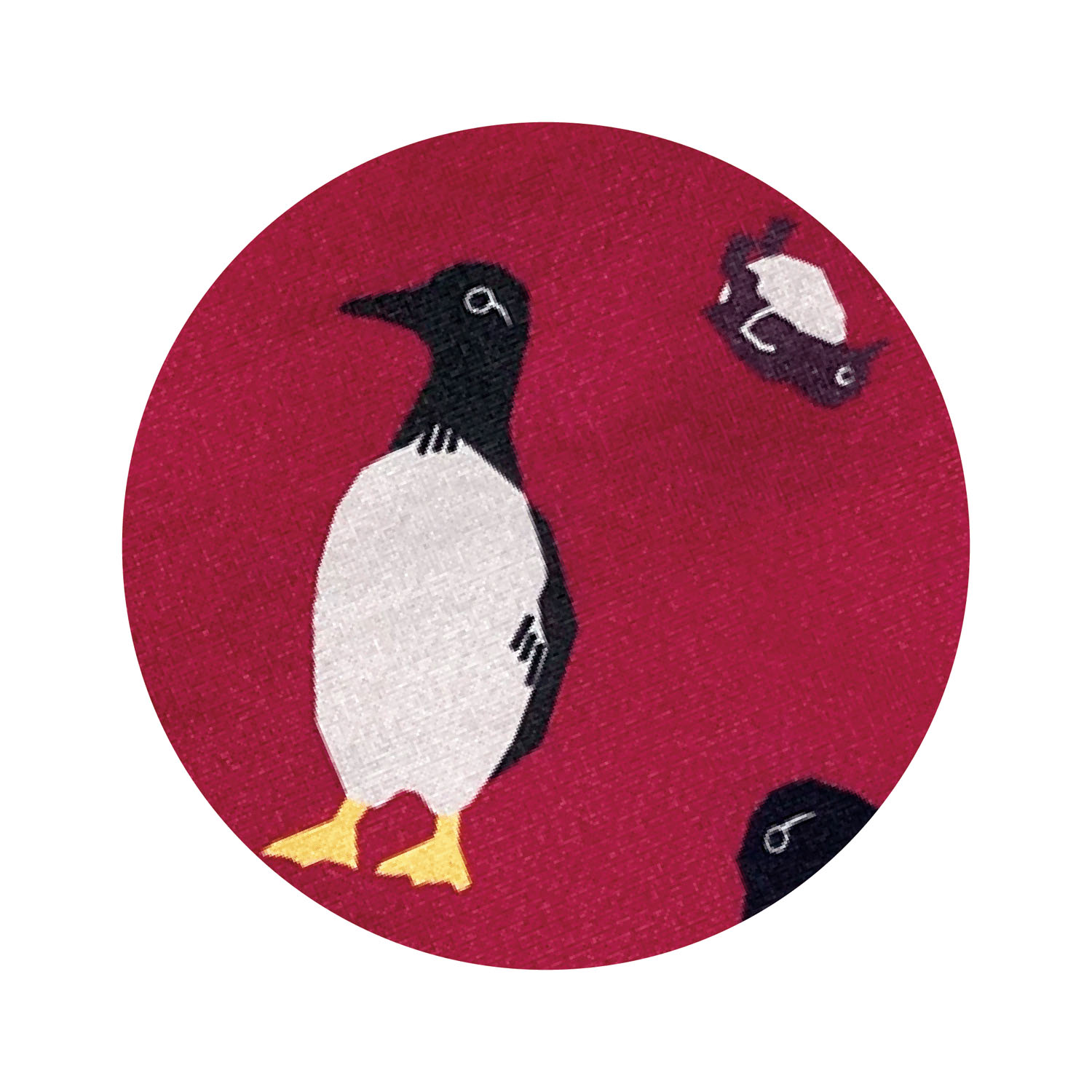 大人気★ぽかぽかソックス TSUNAGU  アンクル 【ETONET限定】 - 画像8