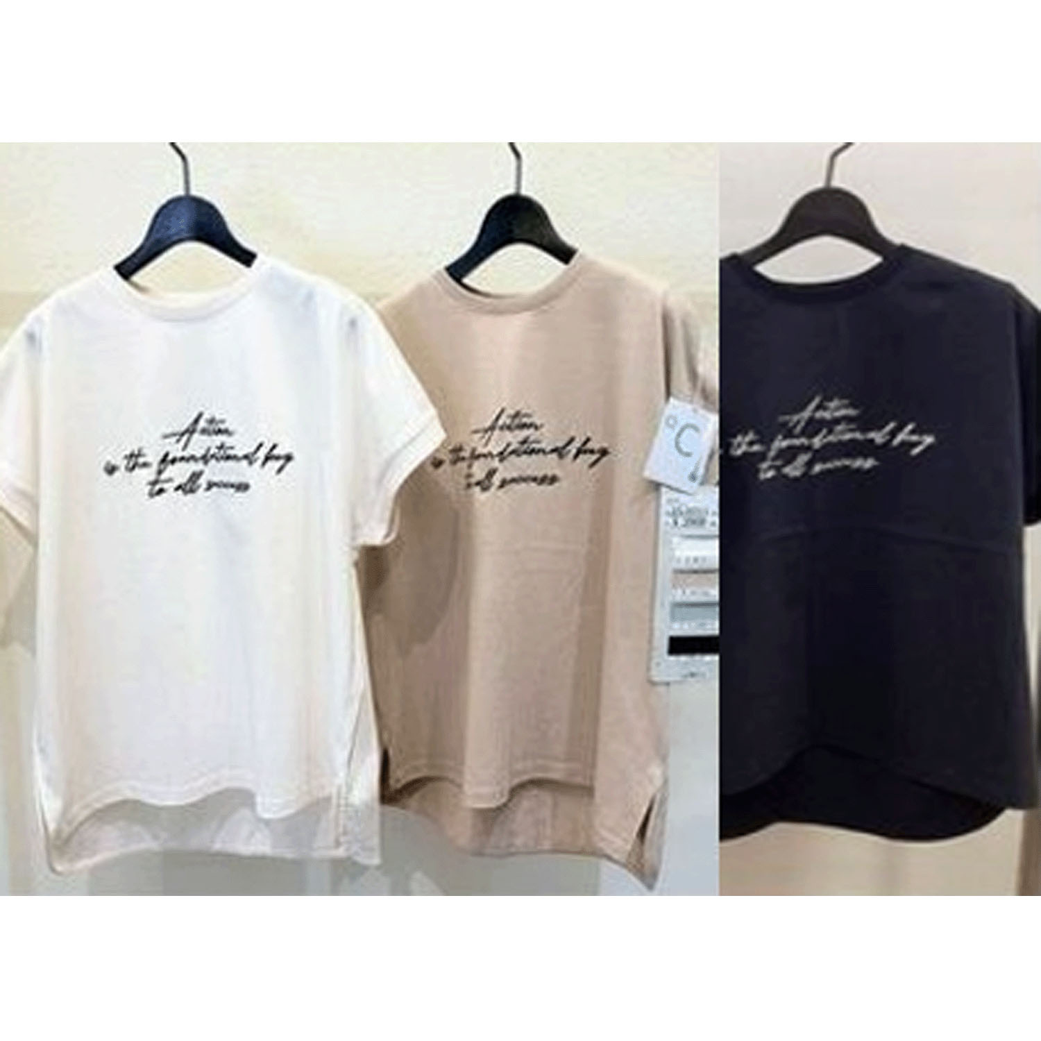 【Insta Live】ザンパロゴ刺しゅうTシャツ