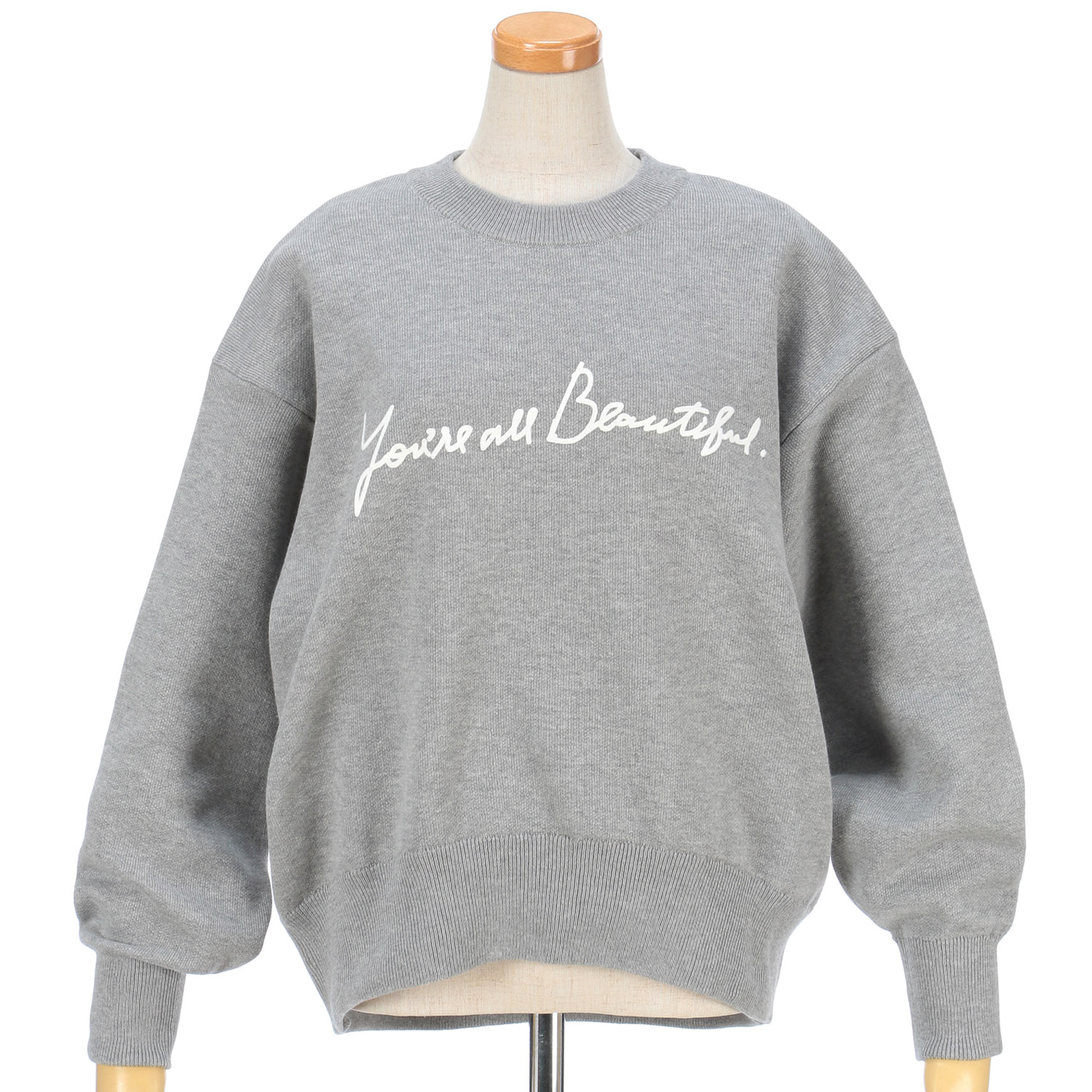 ザンパスウェットライクロゴプルオーバー