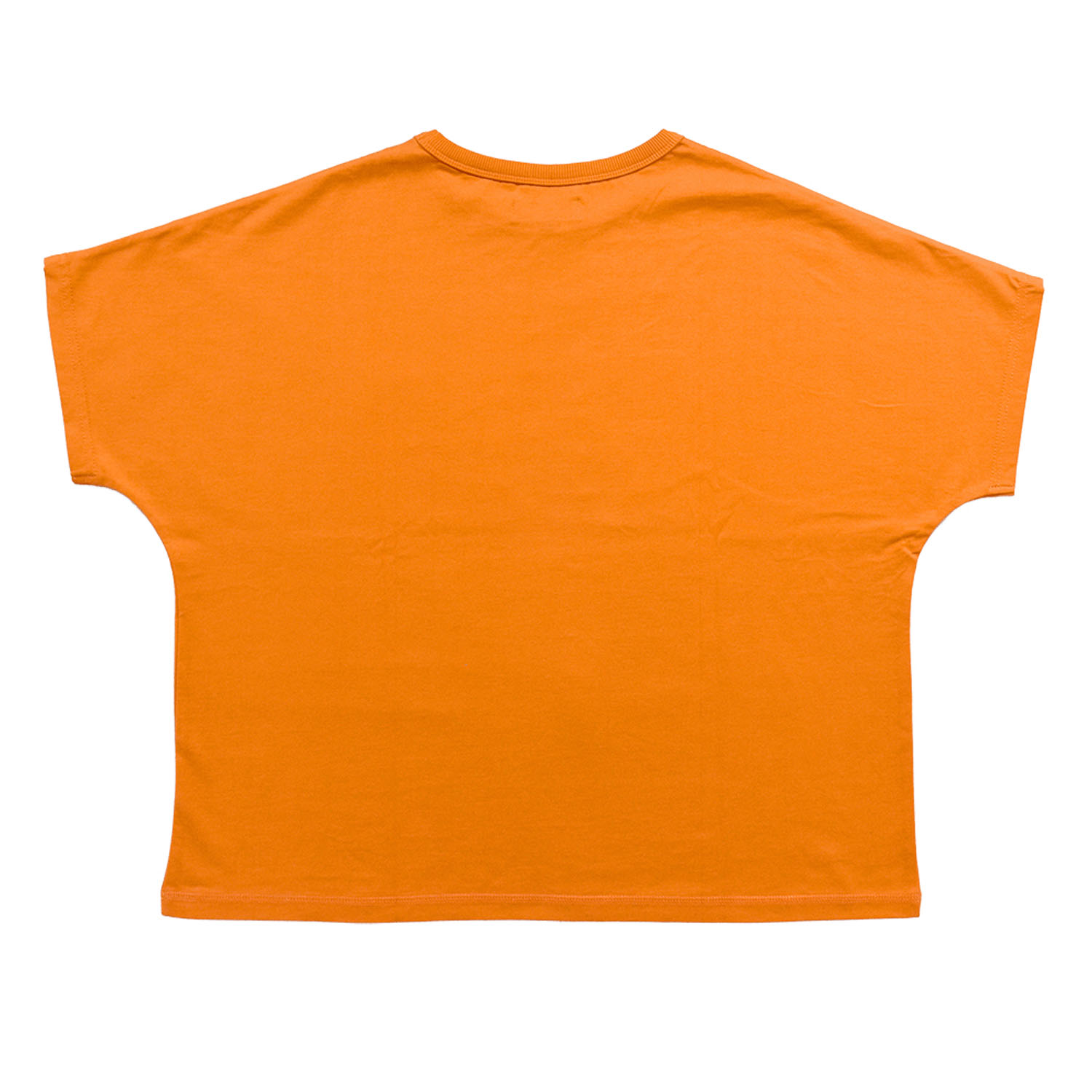 Northern Truck BIGロゴワイドTシャツ - 画像8