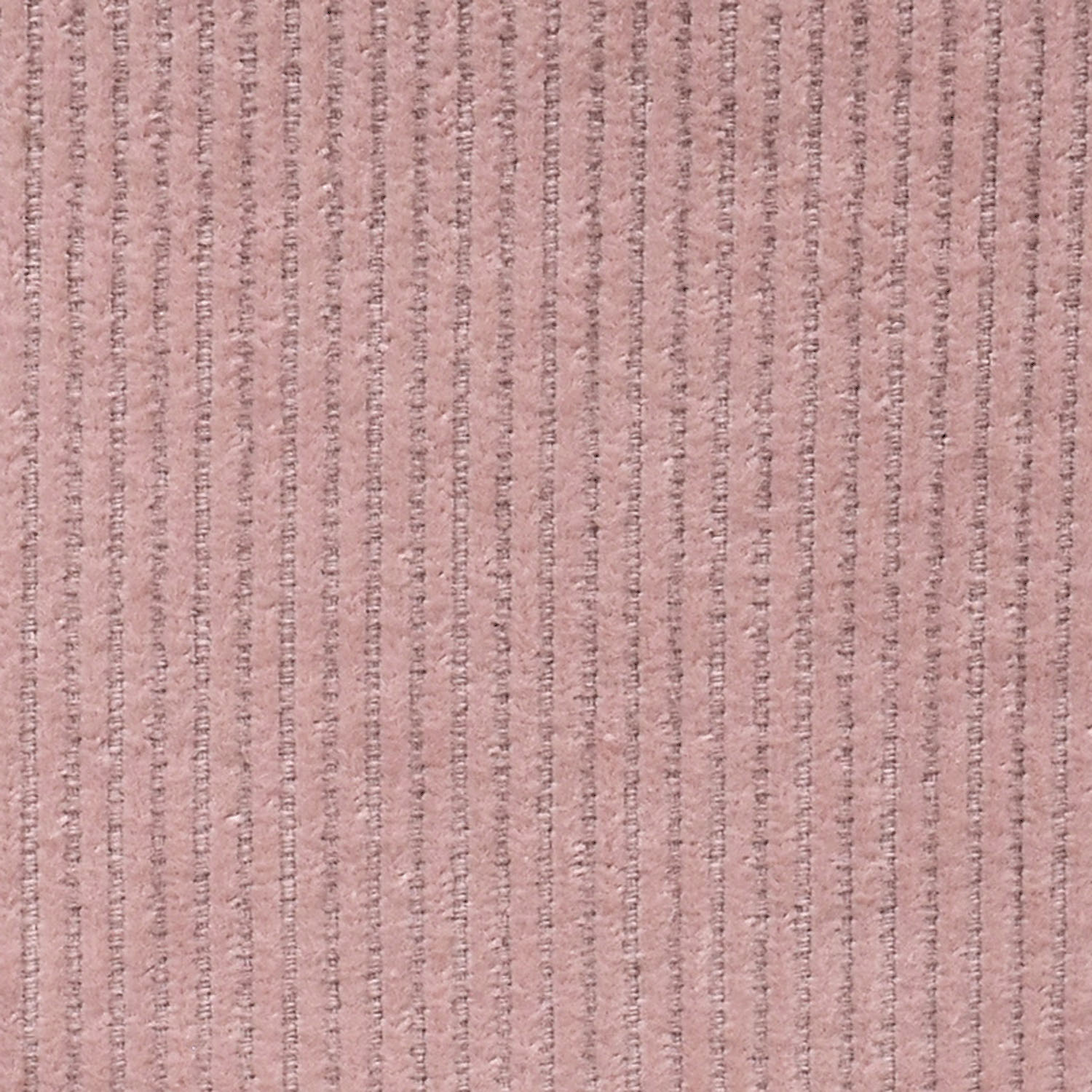 Northern Truck コーデュロイストレートパンツ - 画像18