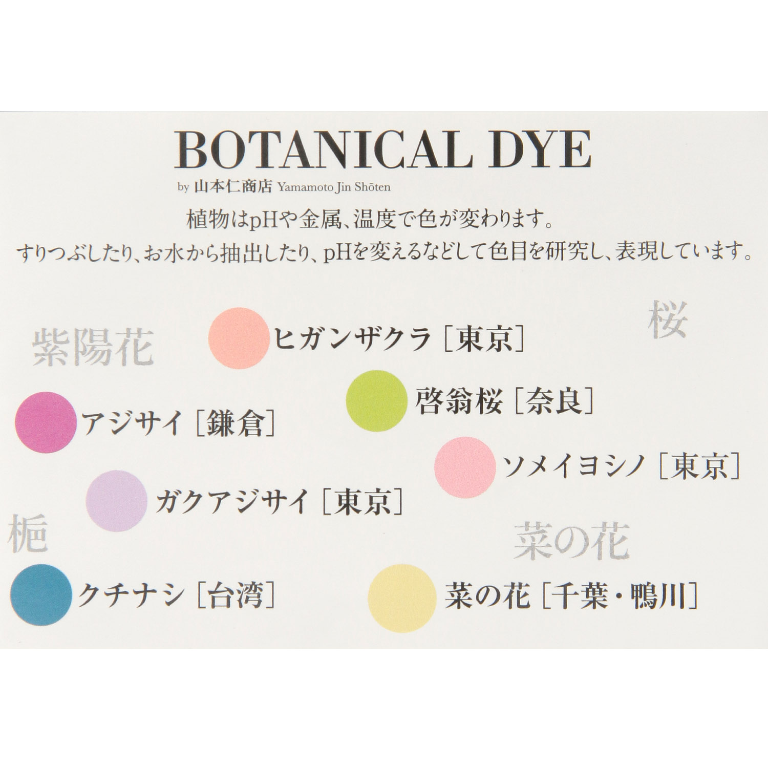 日本製 ボタニカルダイストール - 画像4
