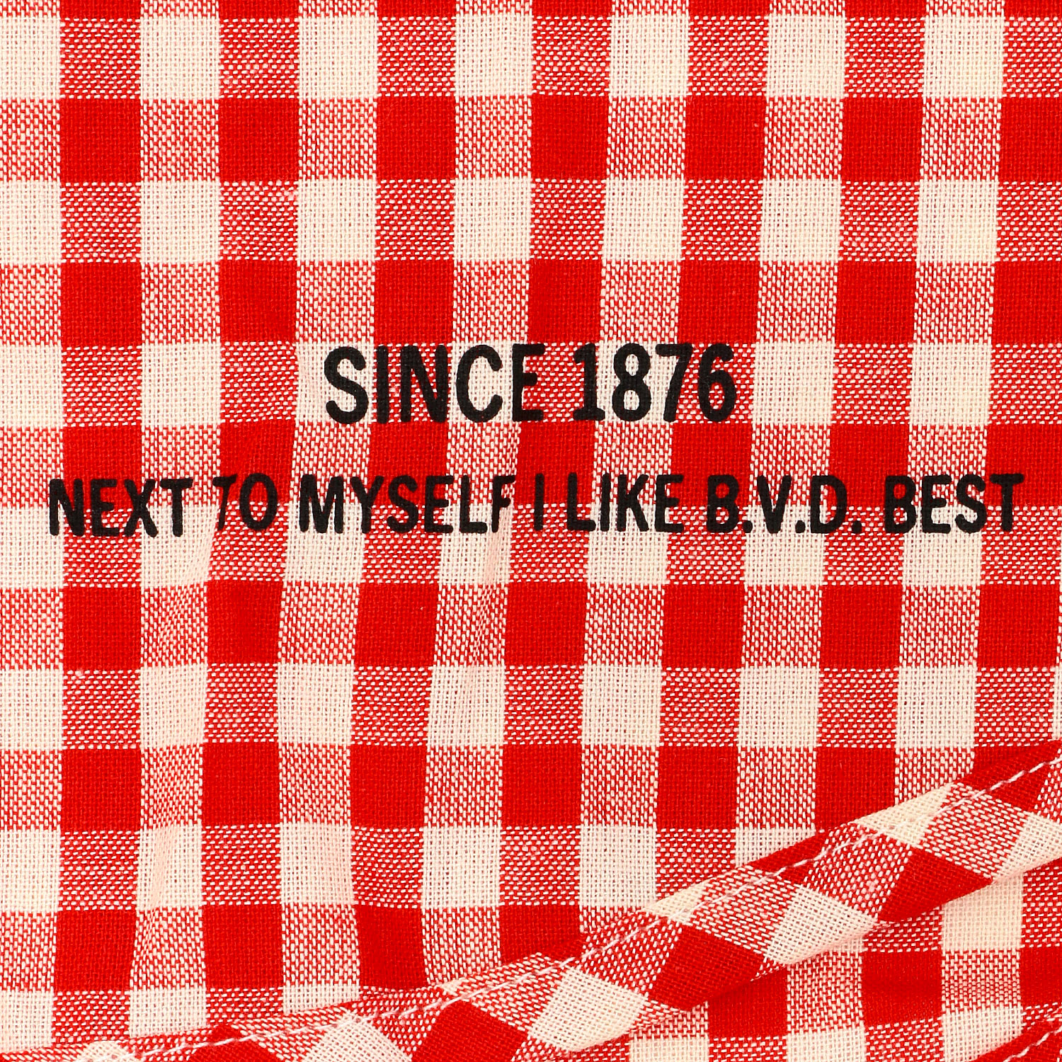 BVD GOLD 150周年記念 トランクスLL - 画像4