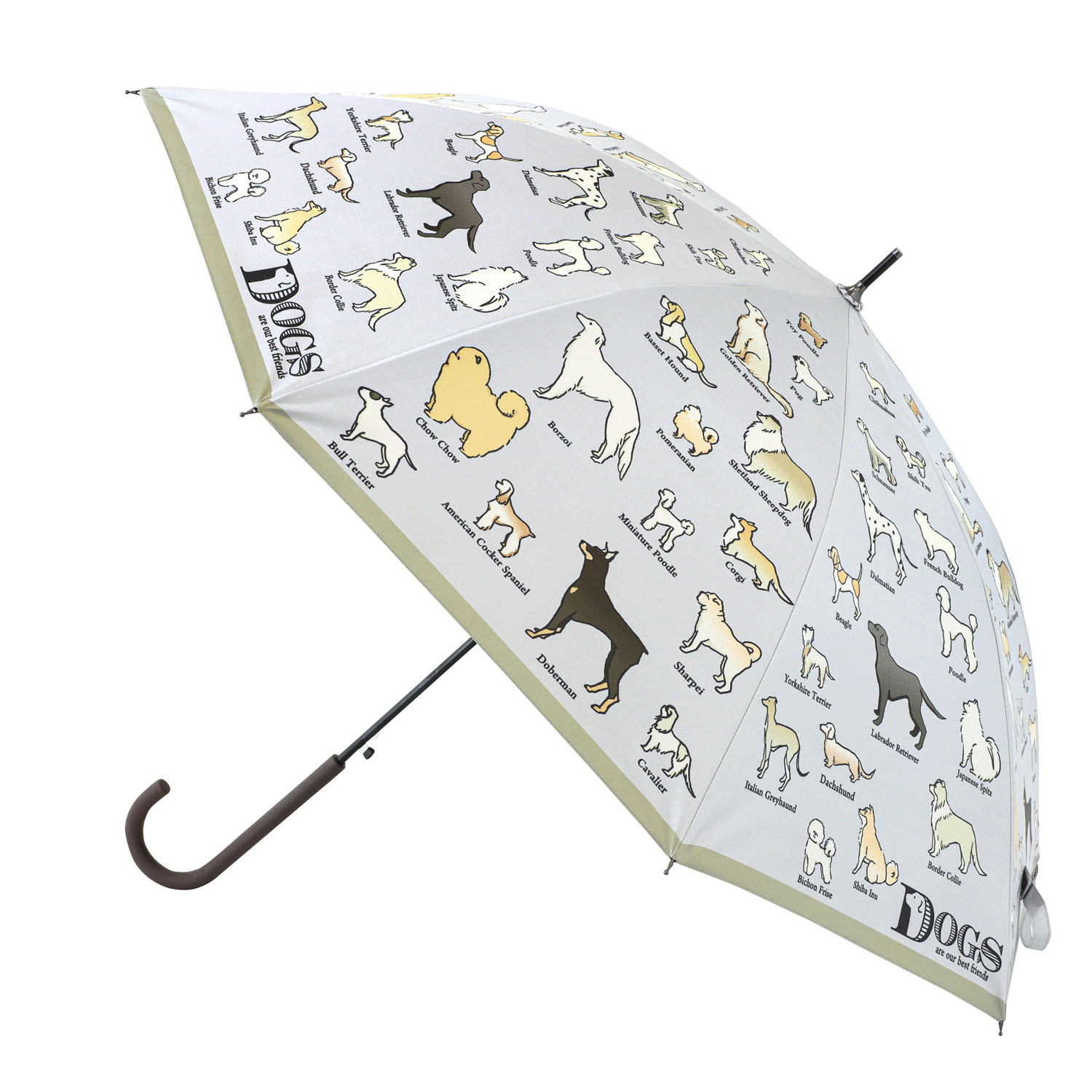 傘 犬図鑑
