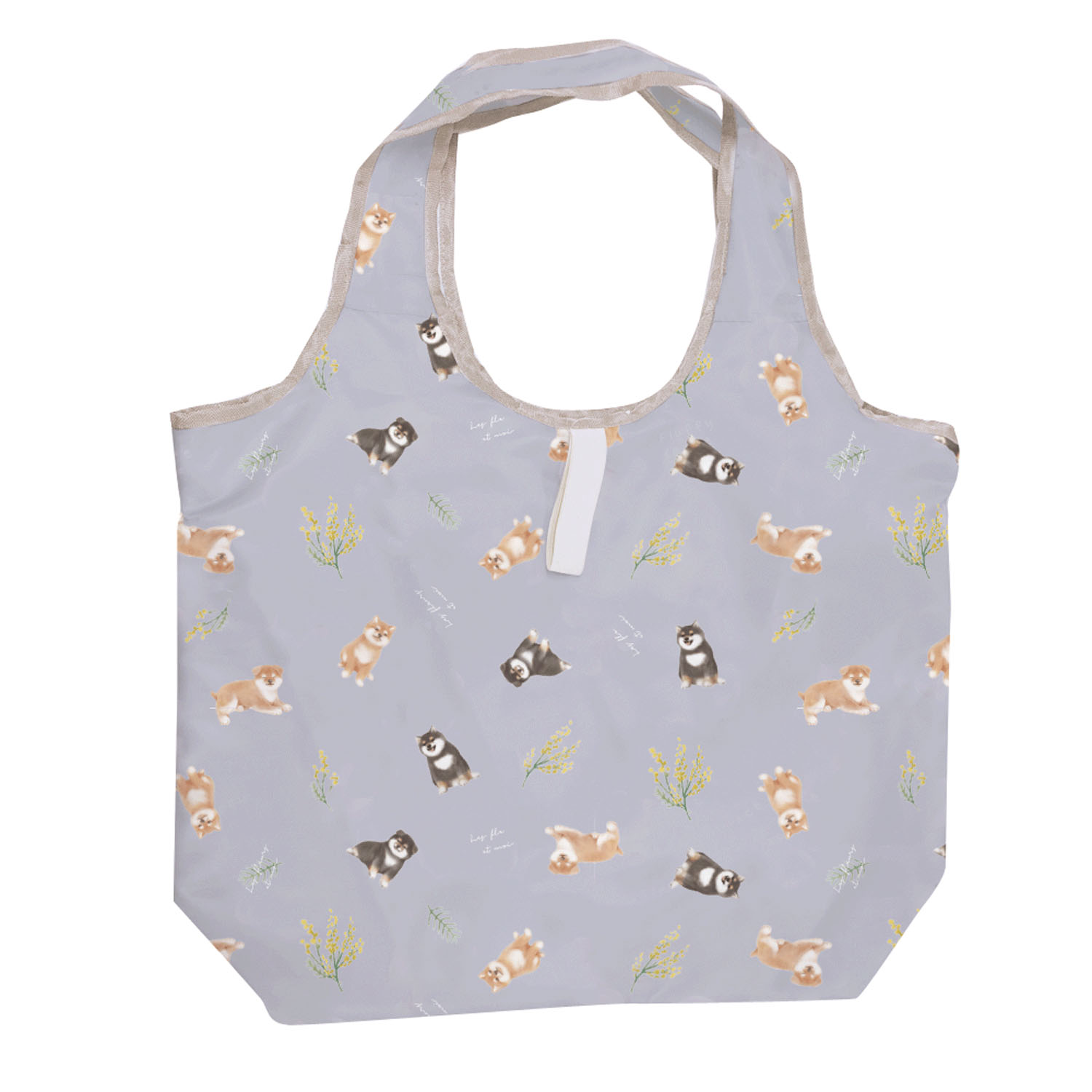 かるい保冷エコバッグ コータフレンズ