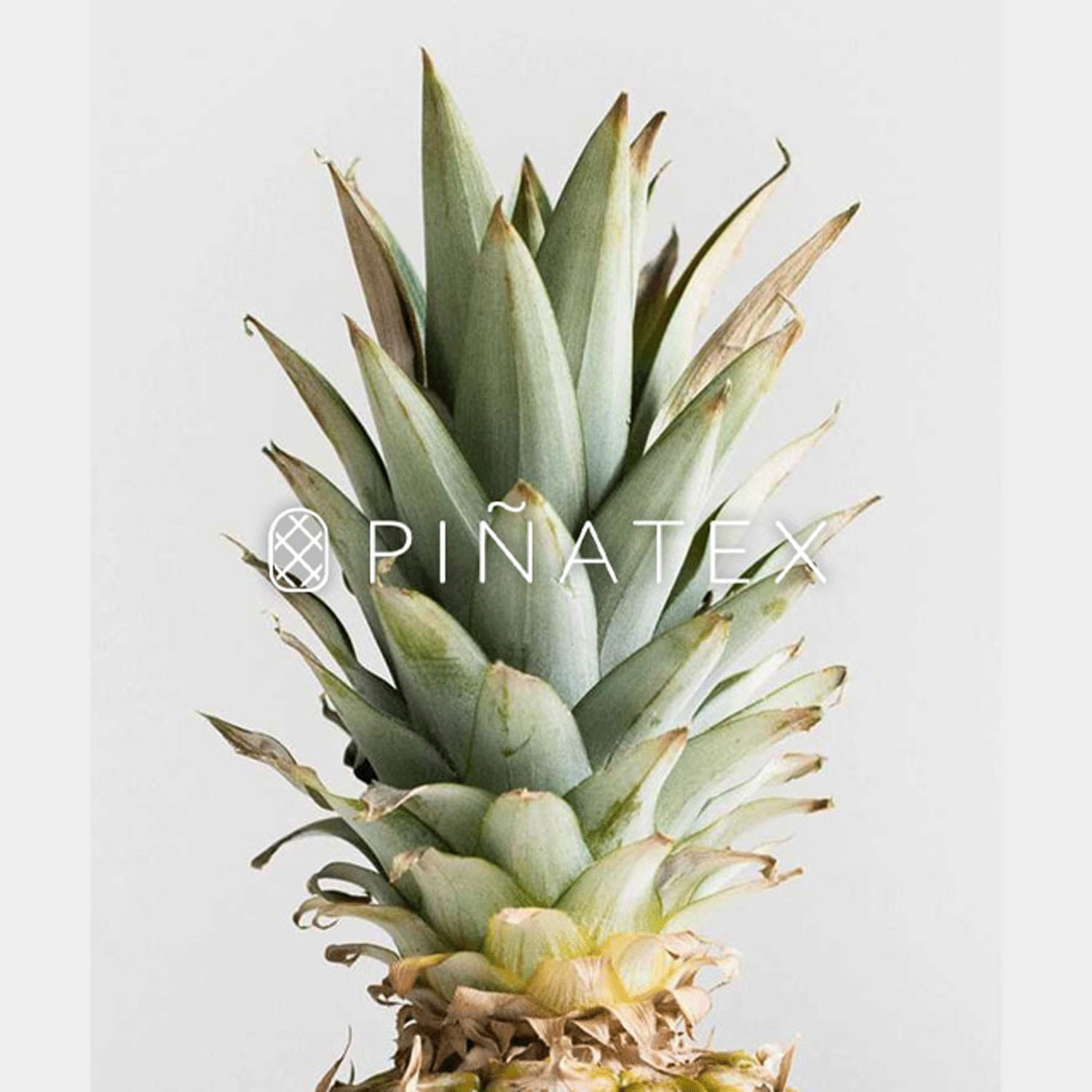 【パイナップルから作られた長財布】 ピニャーレロングウォレット - 画像3