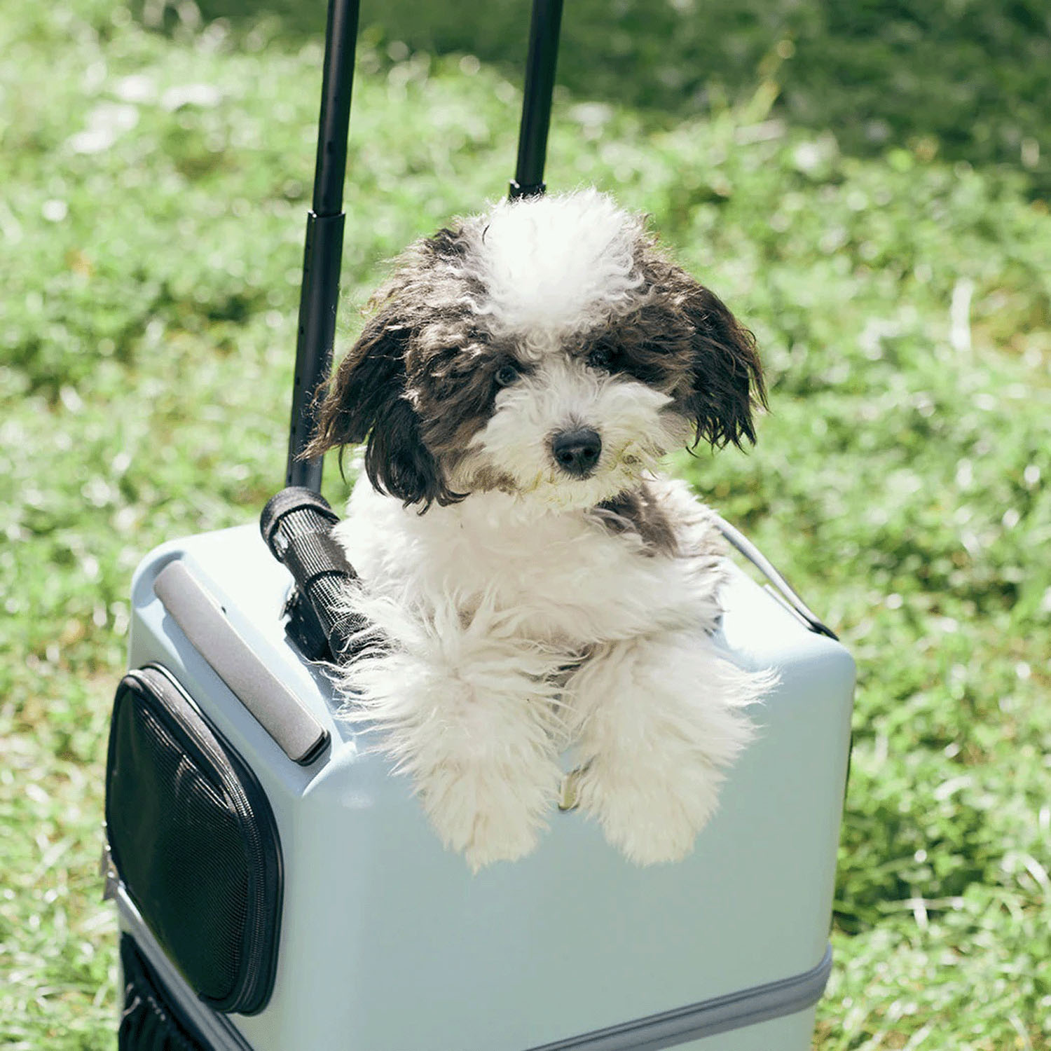 【取り寄せ商品】 PETico ペットキャリー Mサイズ