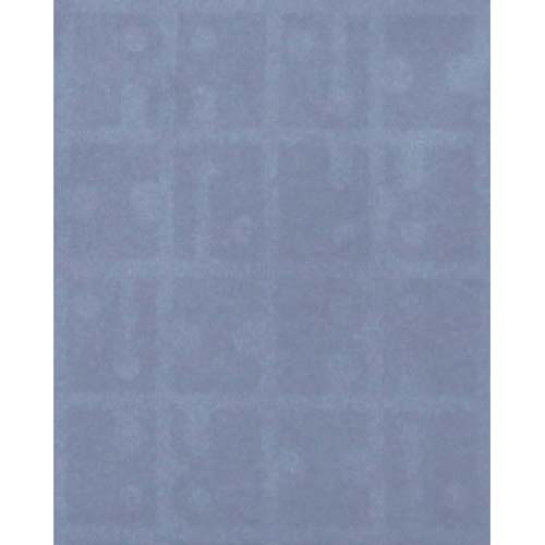 キキ2 スコッシュ - 画像4