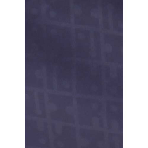 キキ2 スコッシュ - 画像5