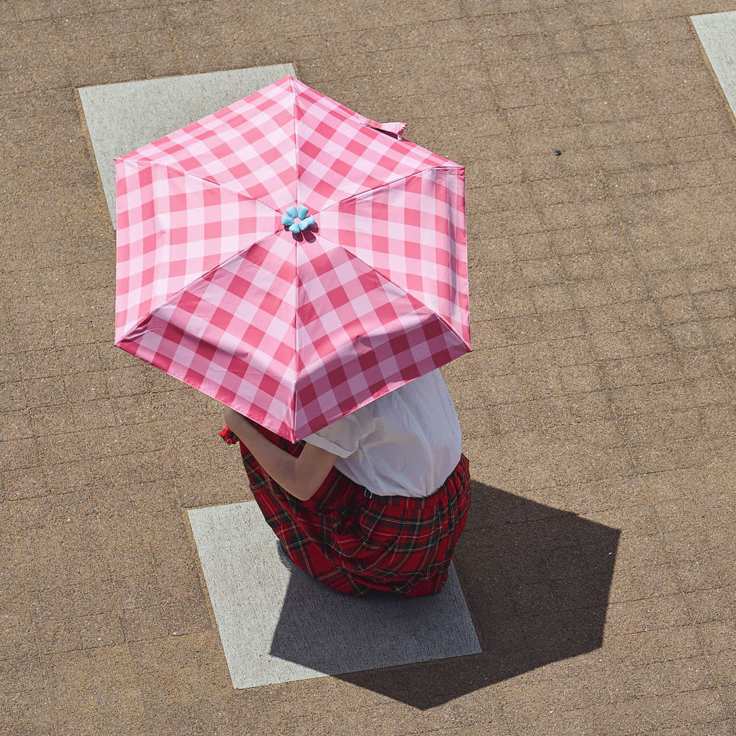 【assa】お花パラソル チェック 5段折晴雨兼用ミニ傘