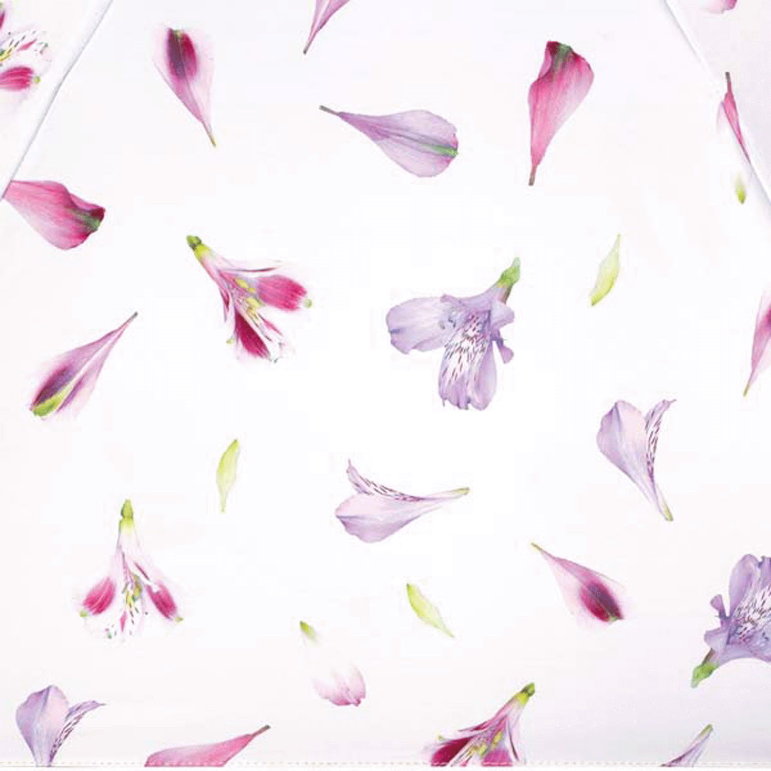 Wpc フラワープリントタイニー - 画像7