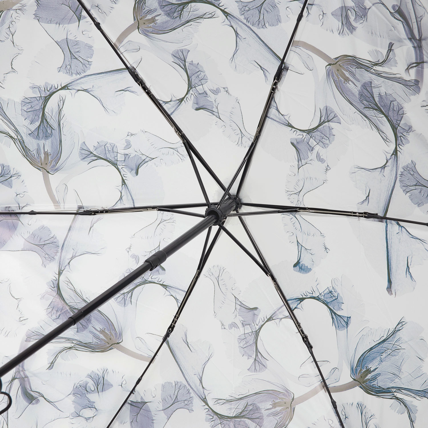 【water front】 MEMORIF（メモリフ）全天候自動開閉 - 画像4