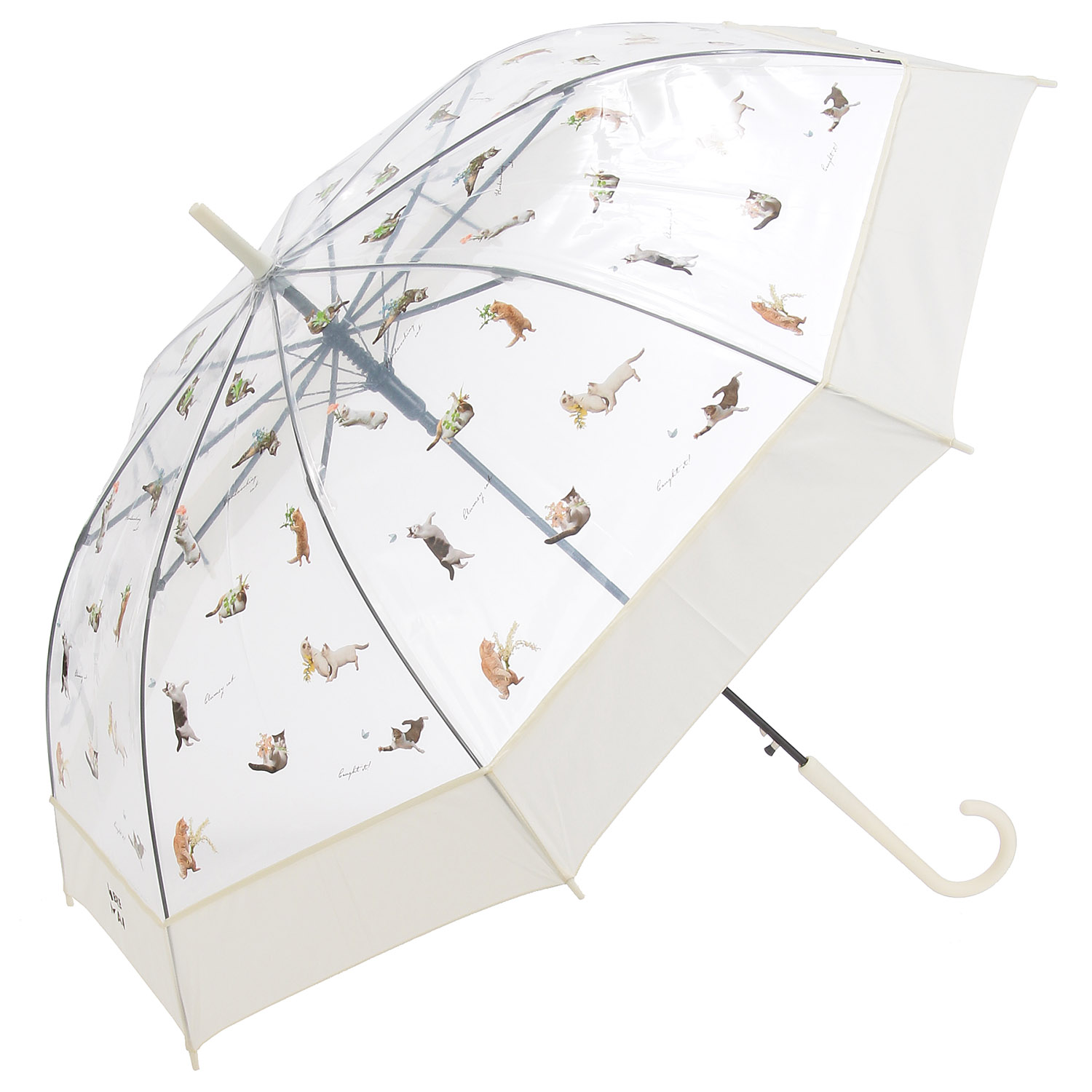 Wpc． 沖昌之さん×WPCアンブレにゃん