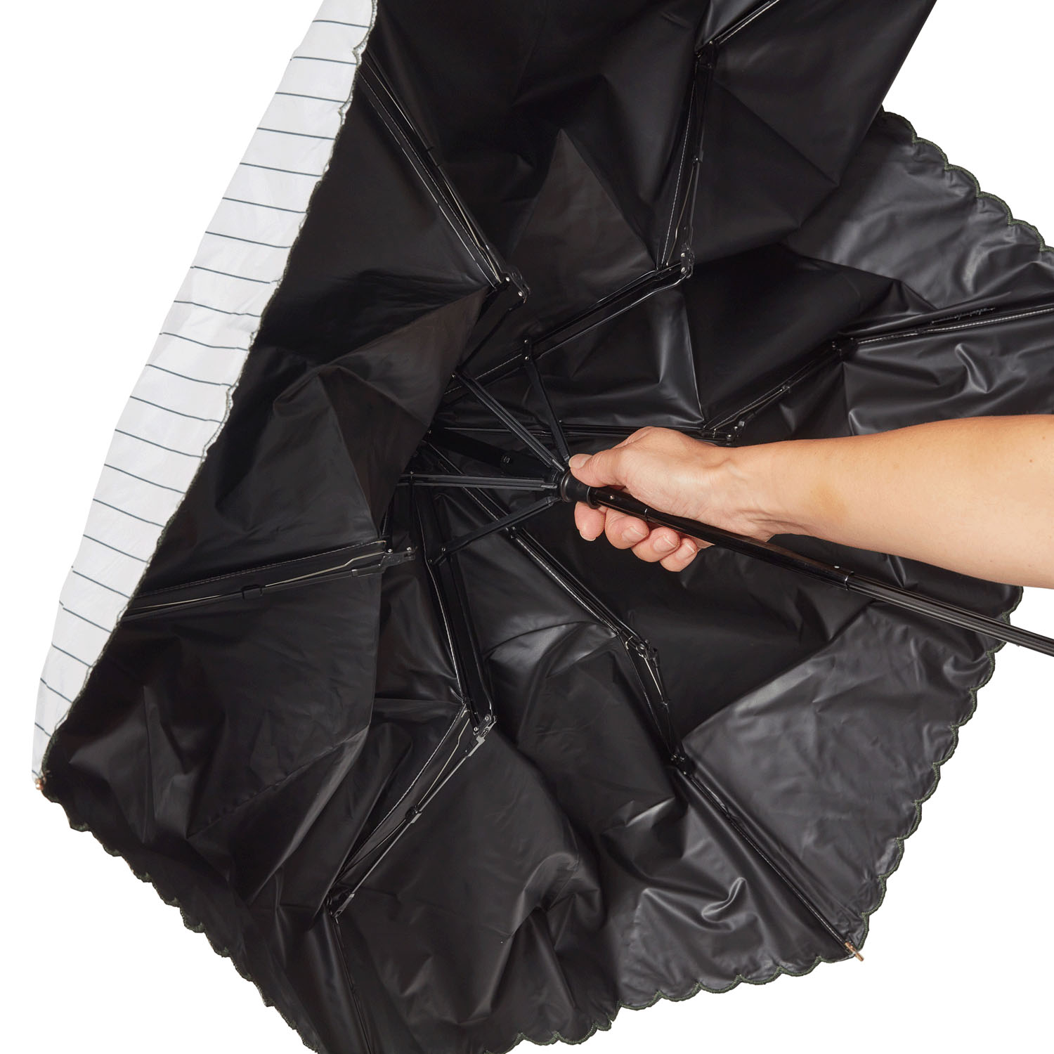 【water front】ネオミニ晴雨兼用折傘 マルシェ - 画像7