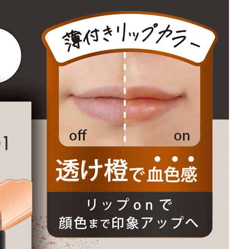 BWダンター薄付きリップスティック - 画像3