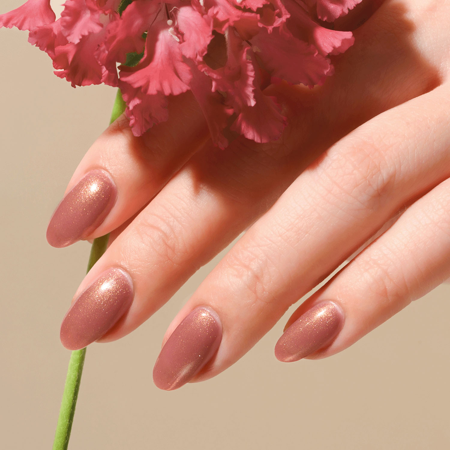 ジェルミーワン - 画像15