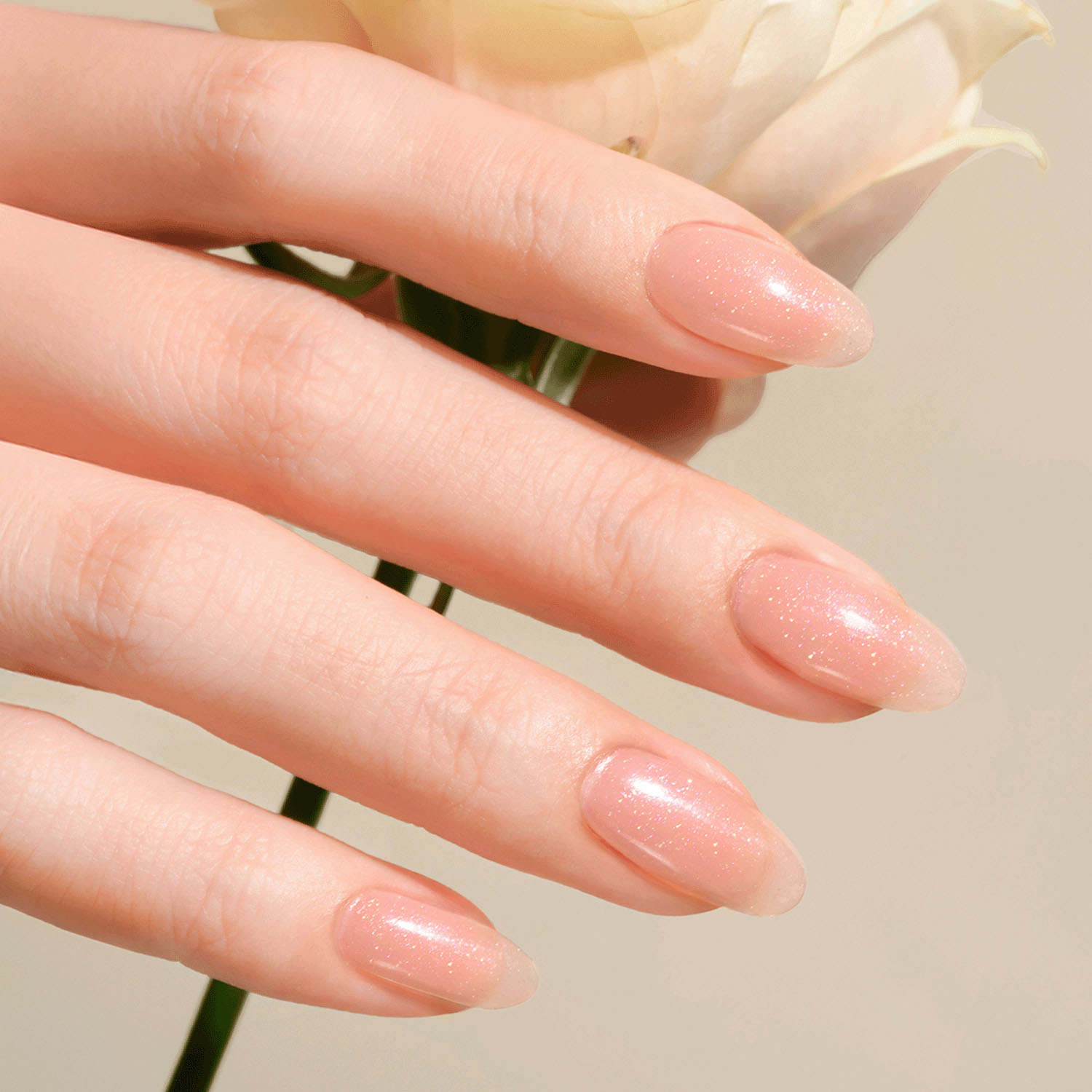 ジェルミーワン - 画像6