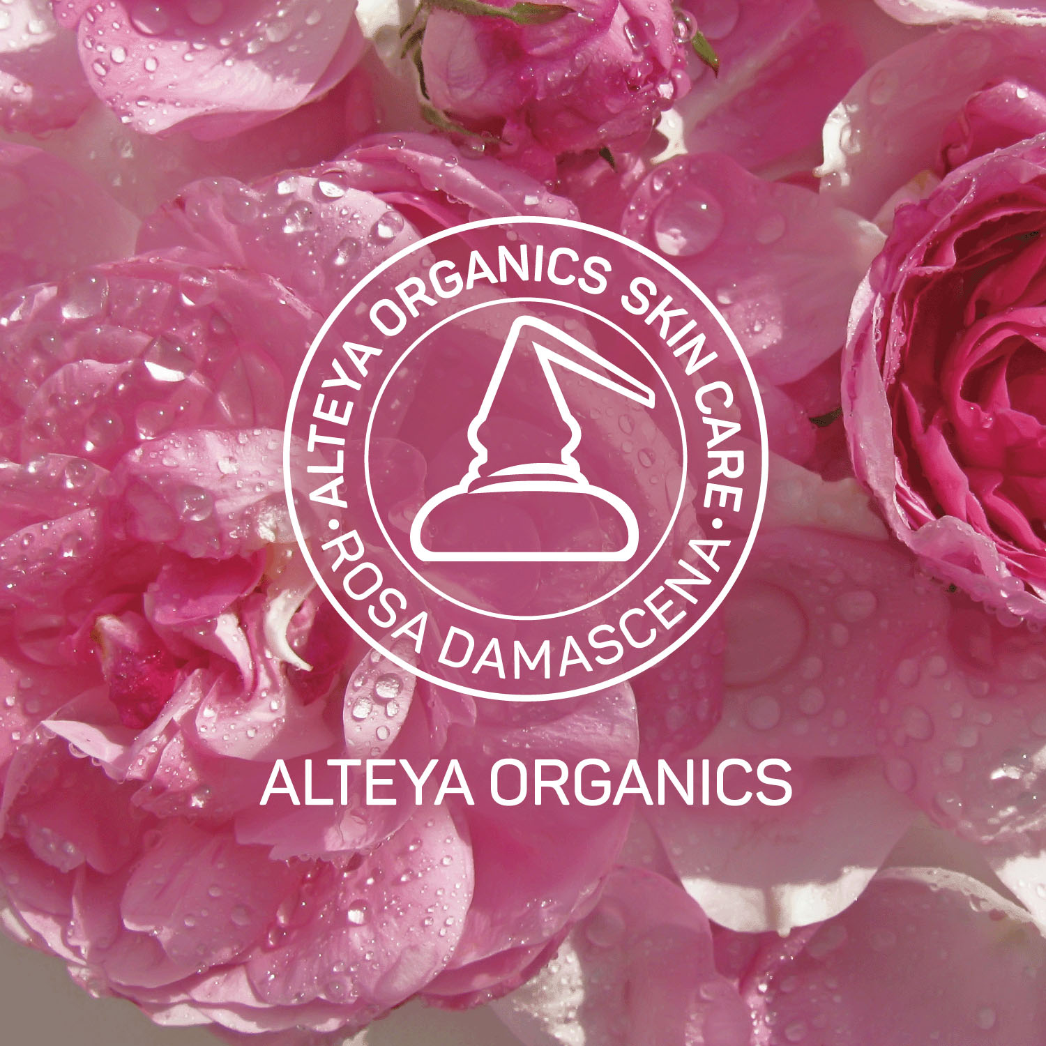 アルテヤオーガニック ブルガリアンローズ ローション〈高保湿化粧水〉 - 画像8