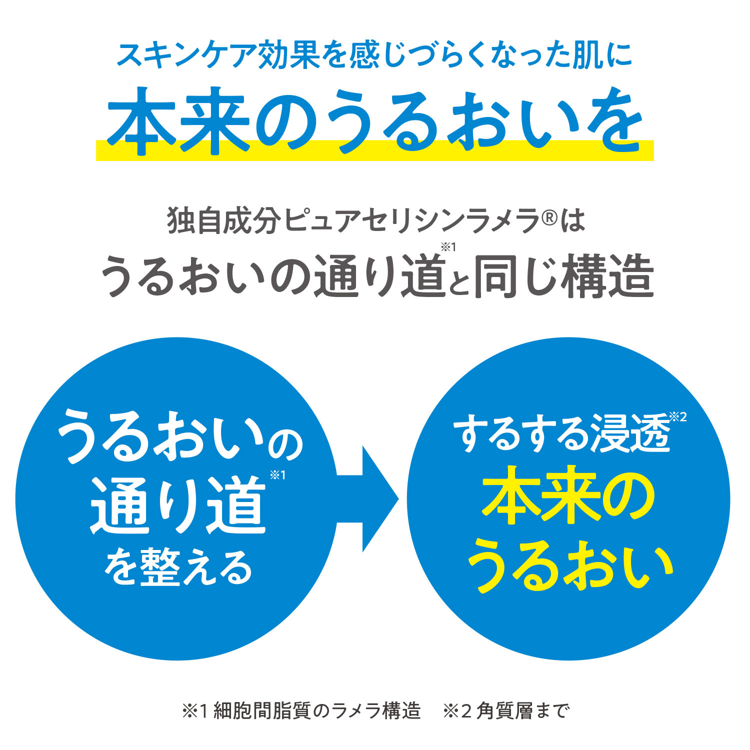 ラメラエッセンス - 画像3