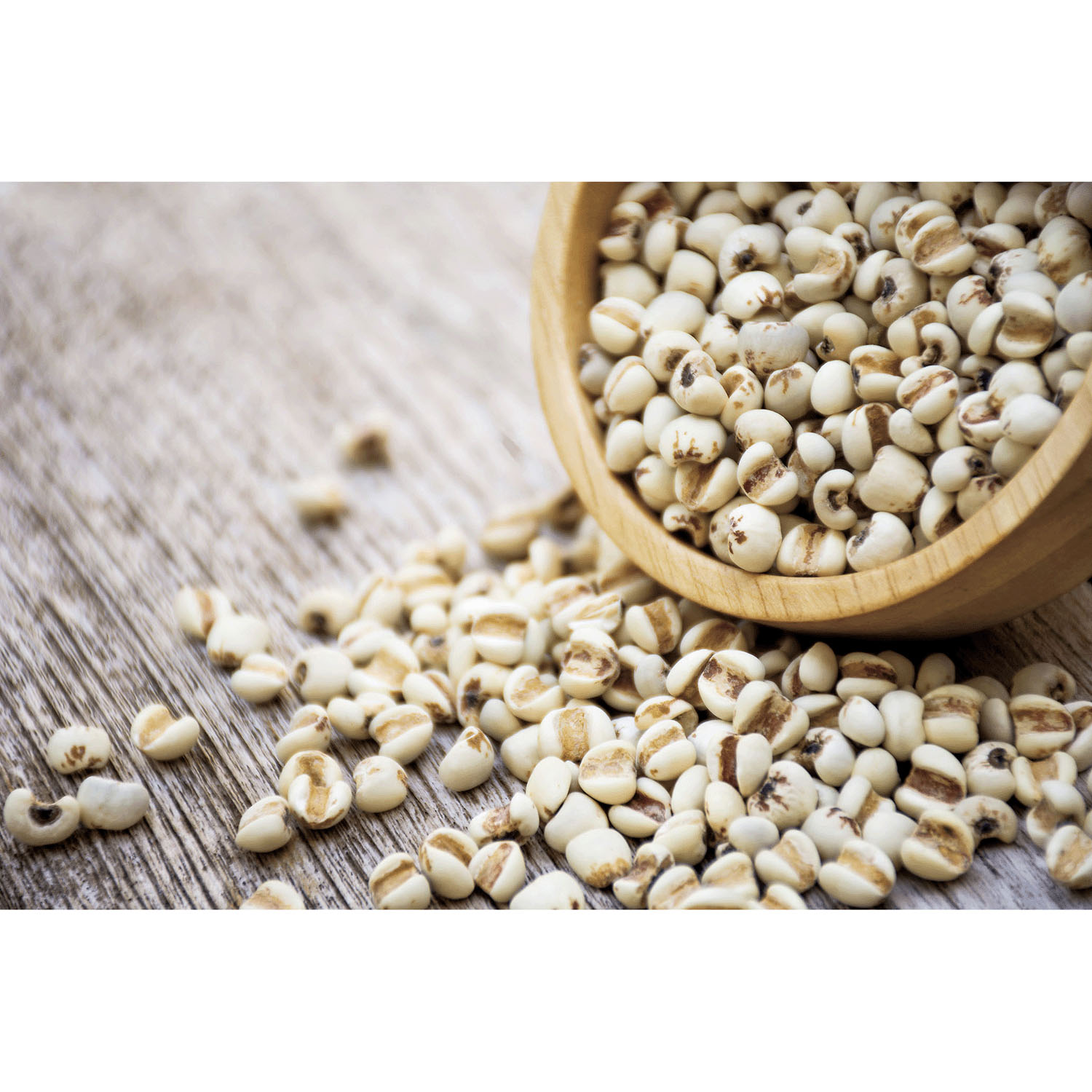 【予約可能品】イボンボン 貼るだけ杏仁ジェルパッチ - 画像8