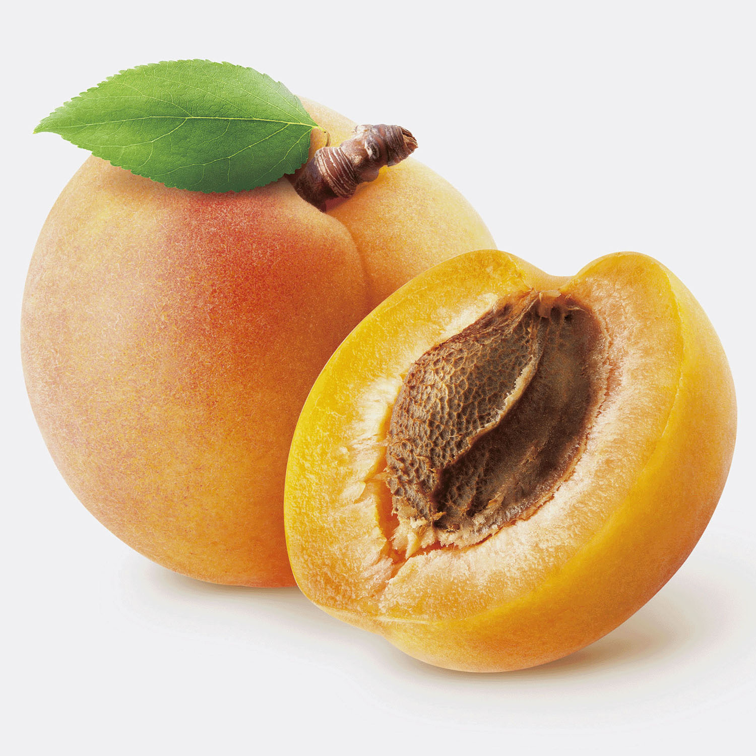 【予約可能品】イボンボン 貼るだけ杏仁ジェルパッチ - 画像10