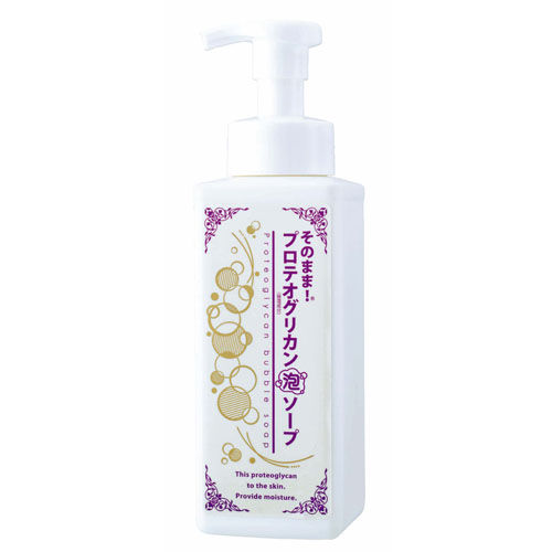 プロテオグリカン泡ソープ 500ml