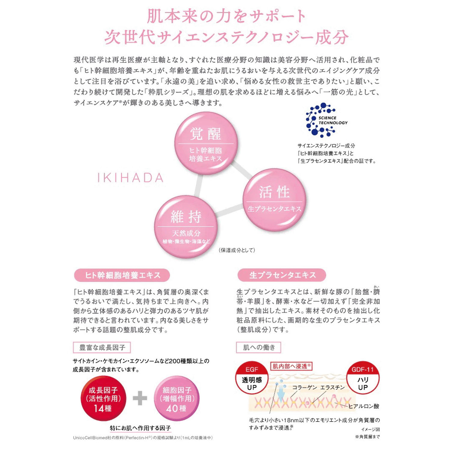 IKIHADA パーフェクションクリーム - 画像4