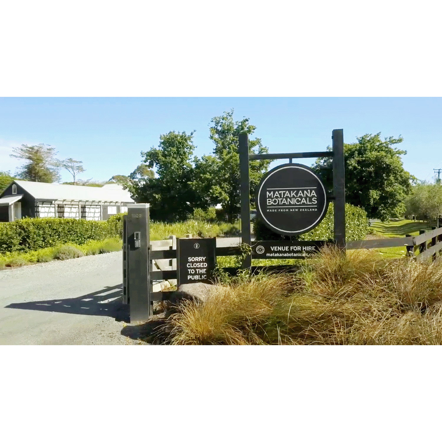 EB－G NSハンド＆ボディローション - 画像2