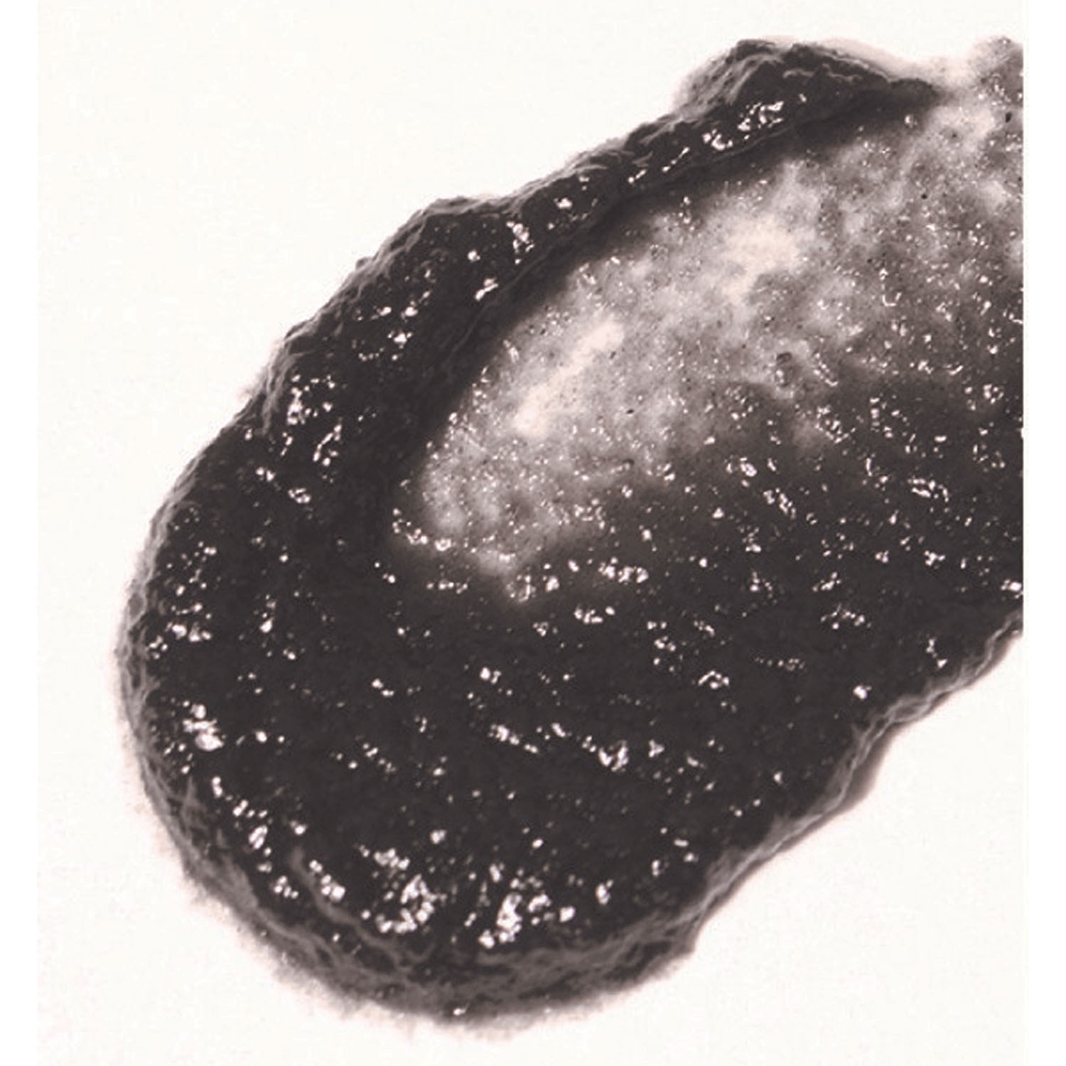 UP CCブラックジャム99 フェイスポリッシュ - 画像6