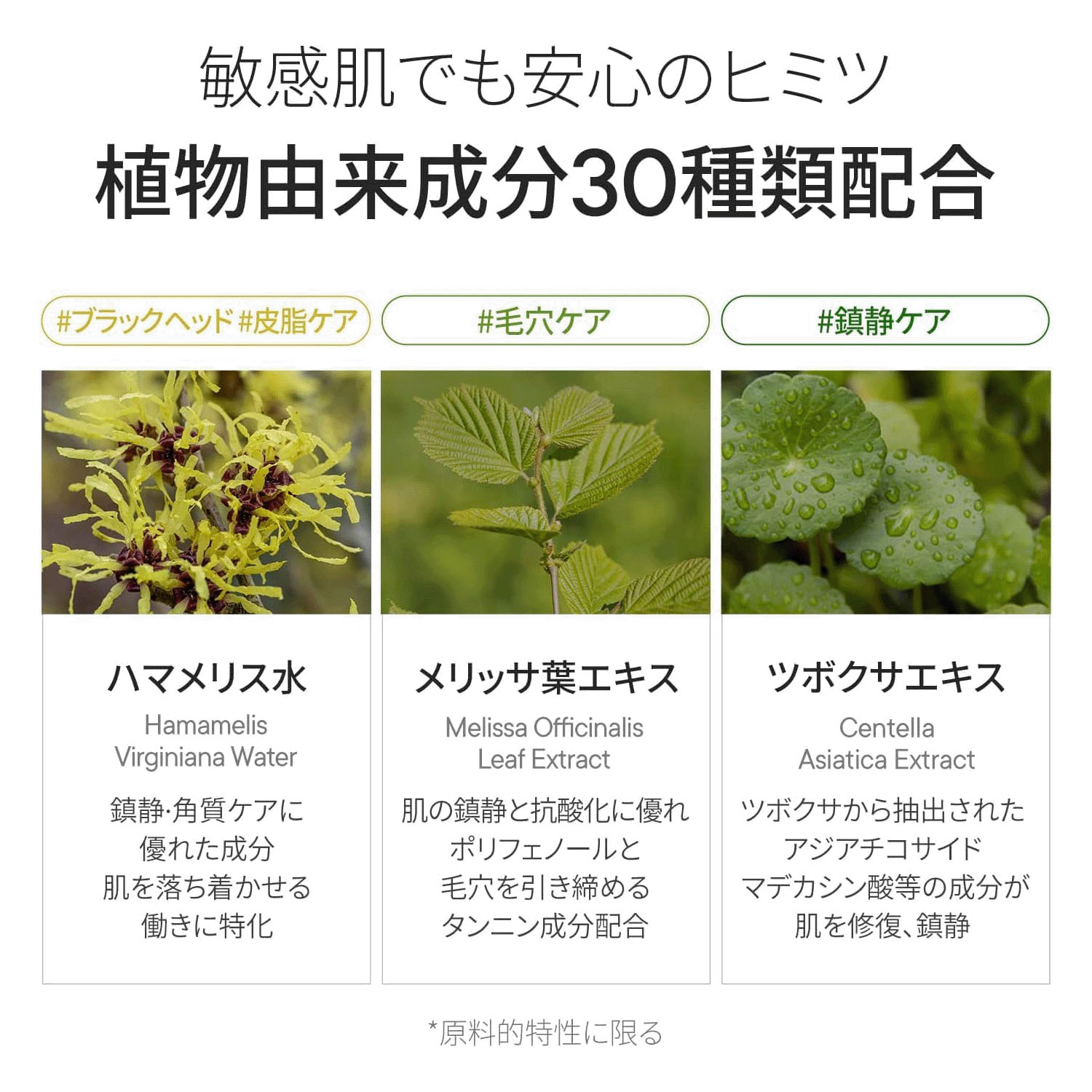 ワンデイユー ノーズピーリング - 画像5