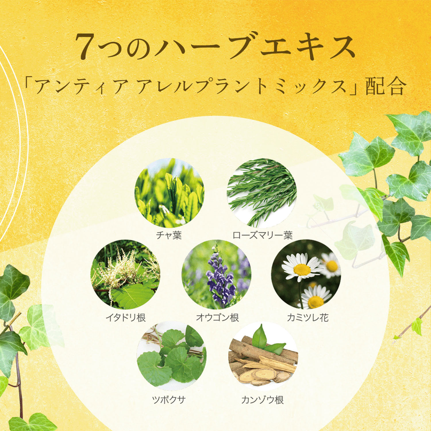 アンティアモイストバランサー - 画像3