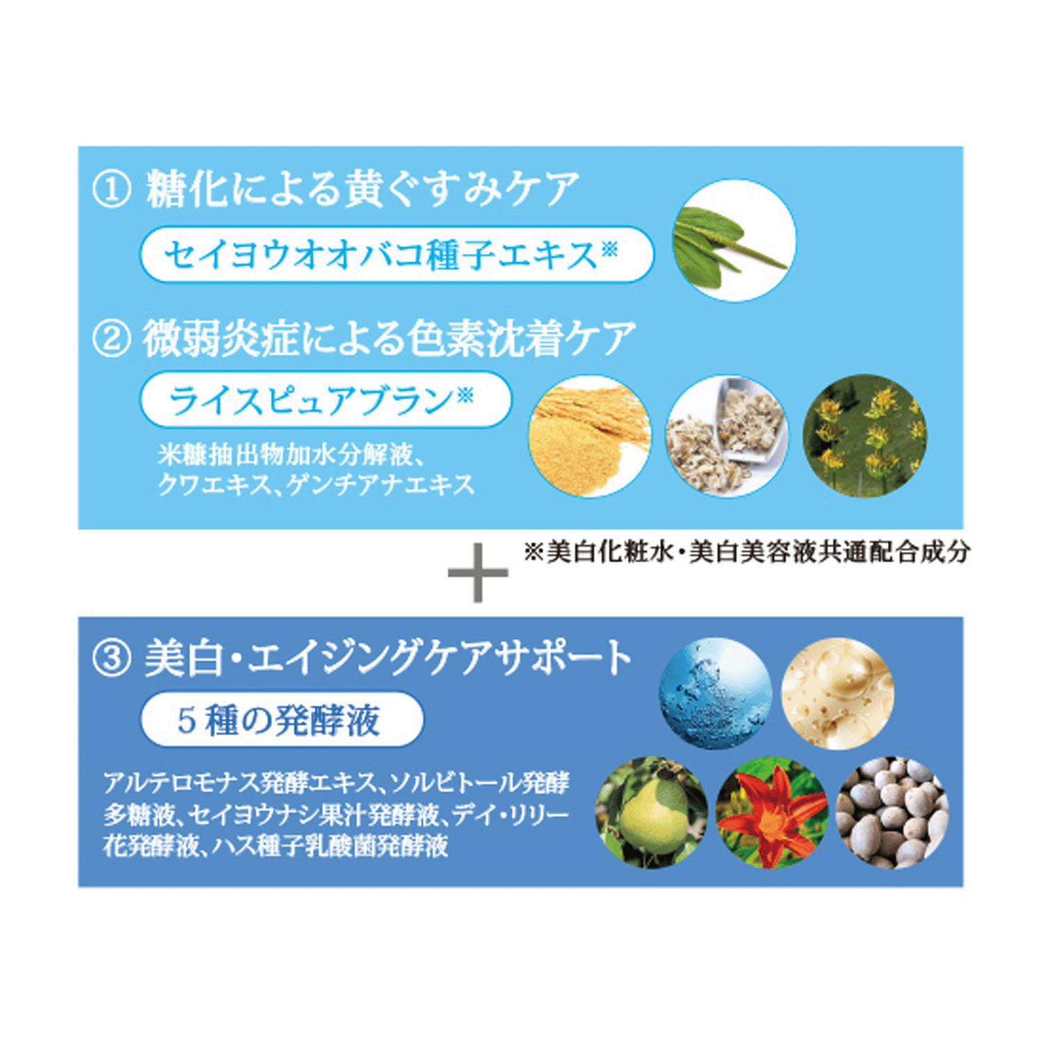 薬用Wホワイトエッセンス - 画像4