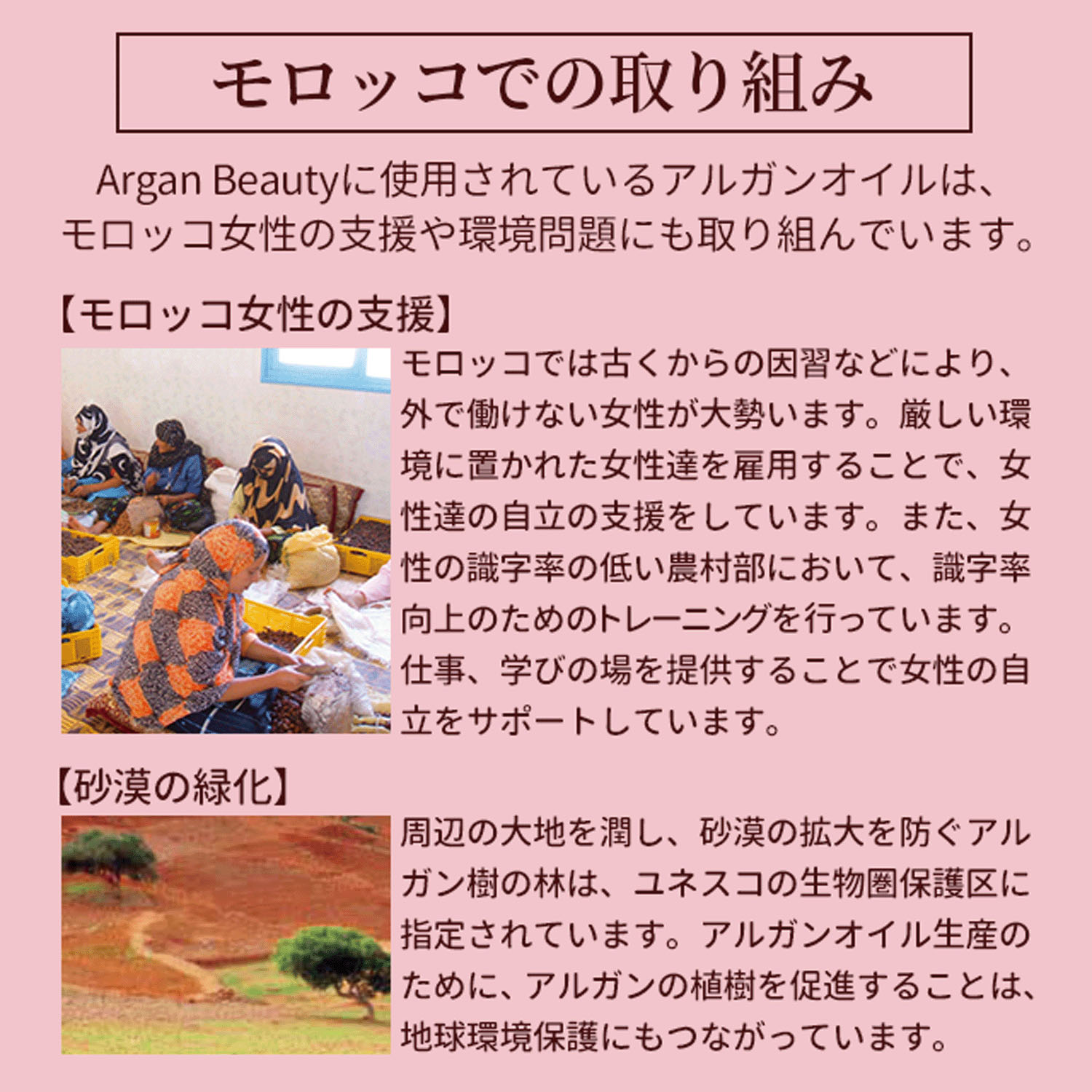 アルガンビューティー クレンジング - 画像6