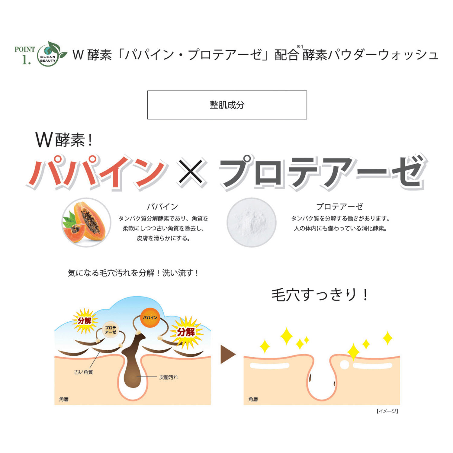 【新商品お試し割引2／26迄】KITAO MATCHAエンザイムパウダー - 画像6