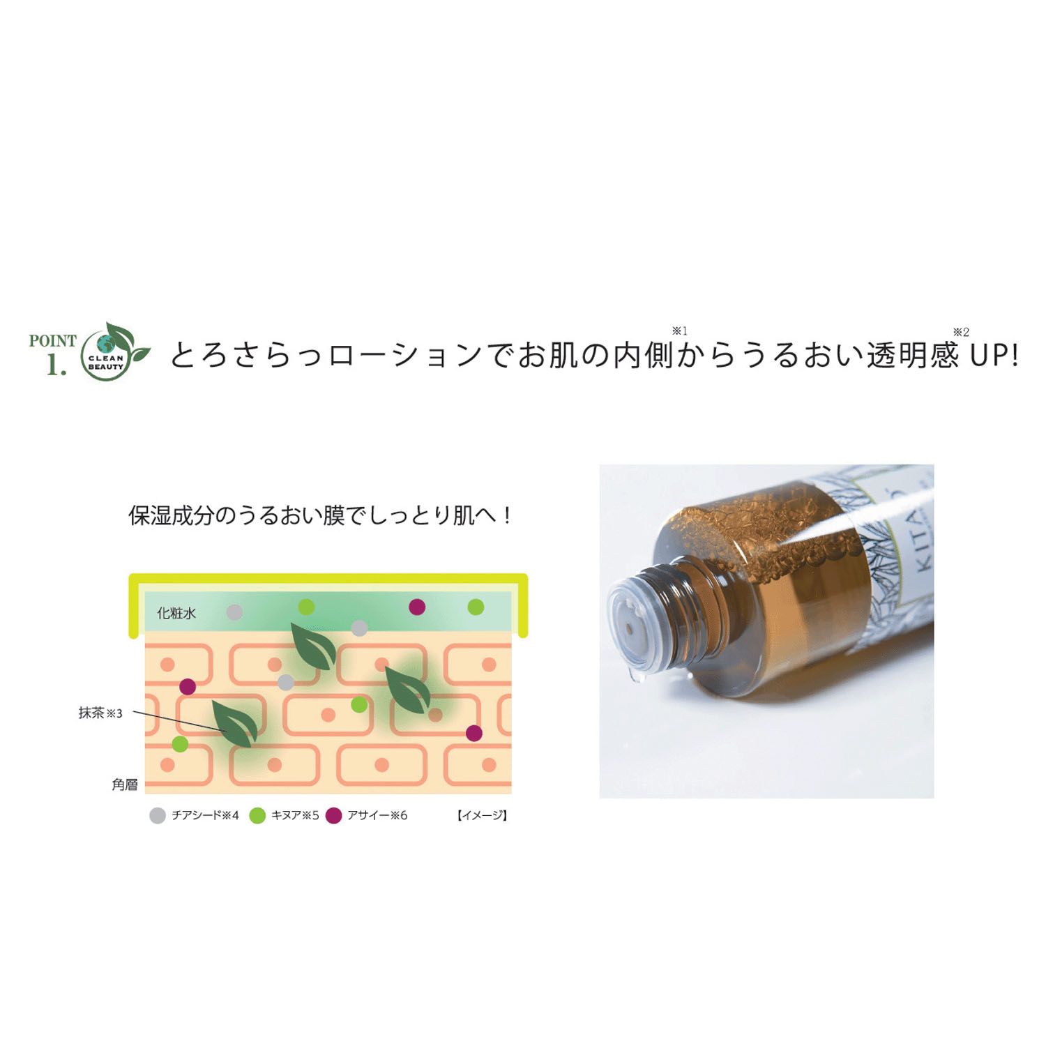 【新商品お試し割引2／26迄】KITAO MATCHAエッセンスローション - 画像4