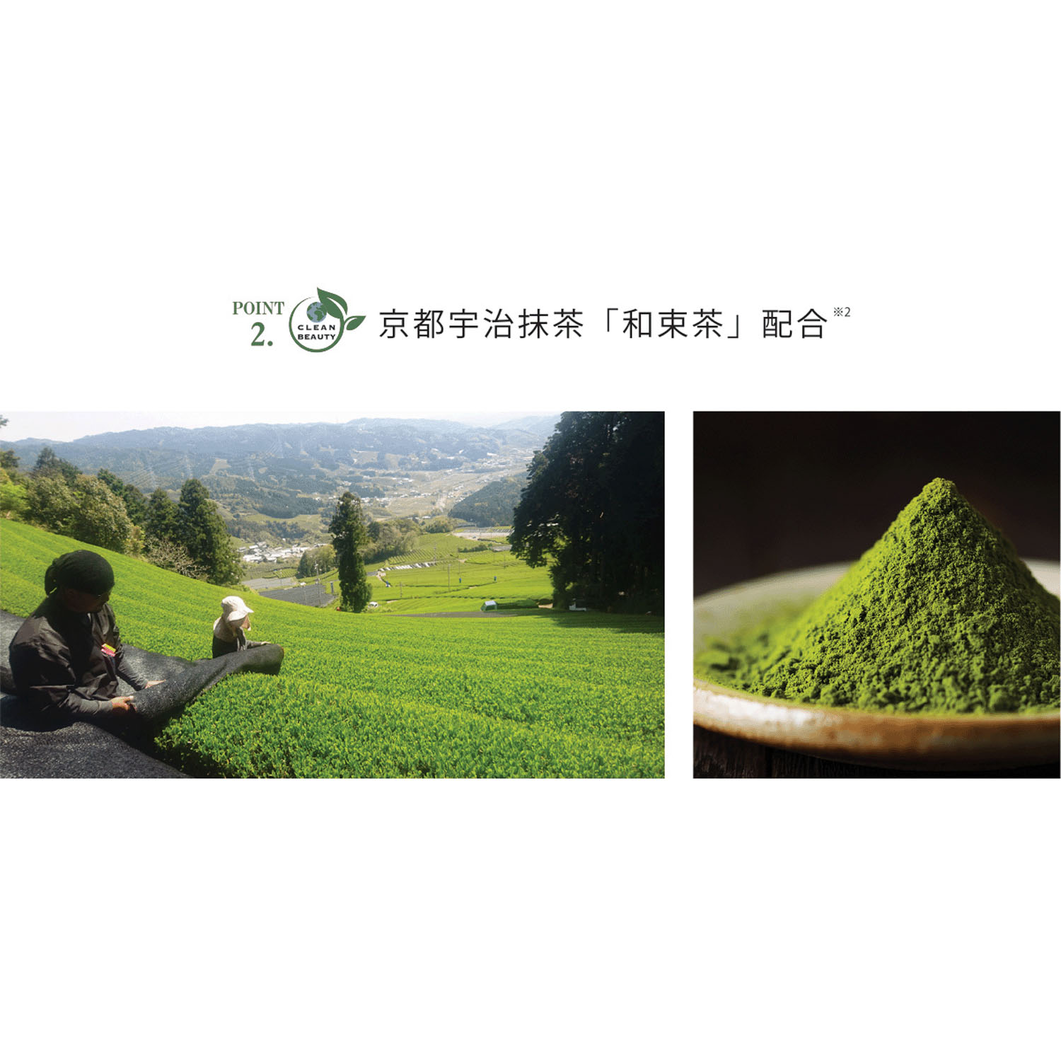 【新商品お試し割引2／26迄】KITAO MATCHAエッセンスローション - 画像5