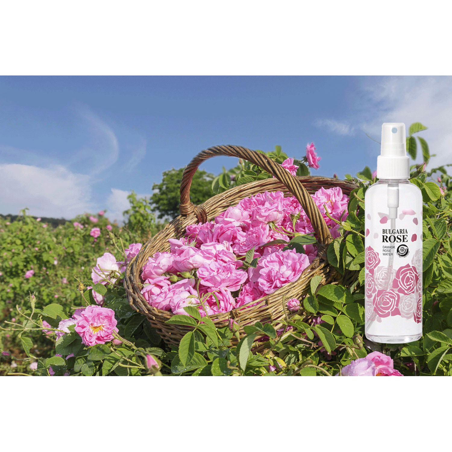 ダマスク ローズウォーター 200ml - 画像4