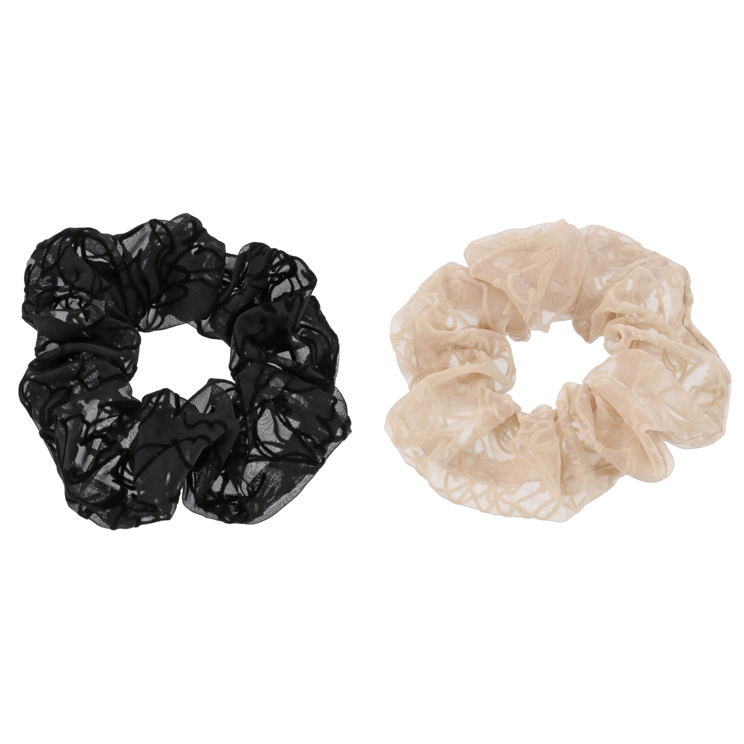 フロシュ25シュシュ