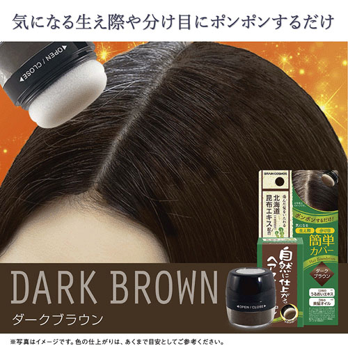 自然に仕上がるヘアファンデーション ダークブラウン - 画像4
