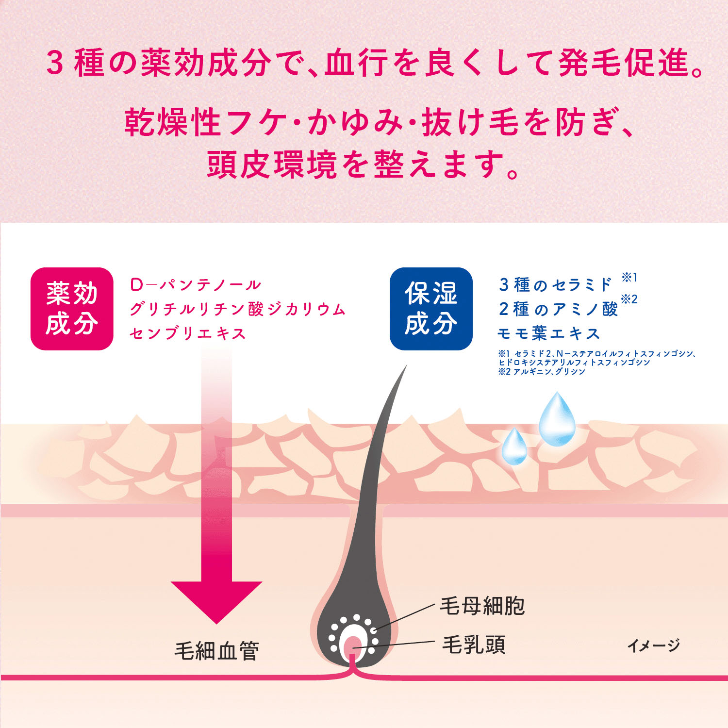 セラプリエ 薬用育毛 頭皮しっとりローション - 画像4