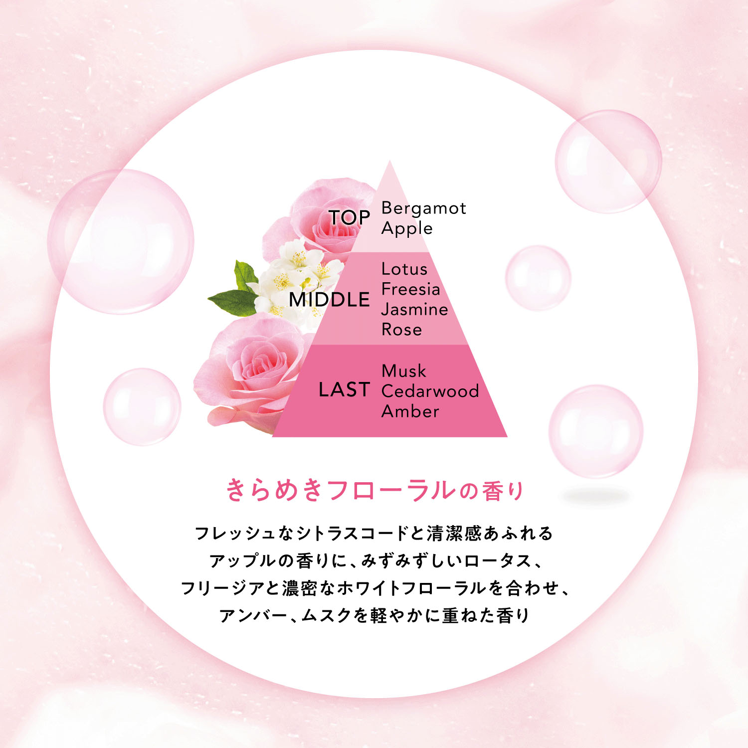 サボリーノシャンプー - 画像7