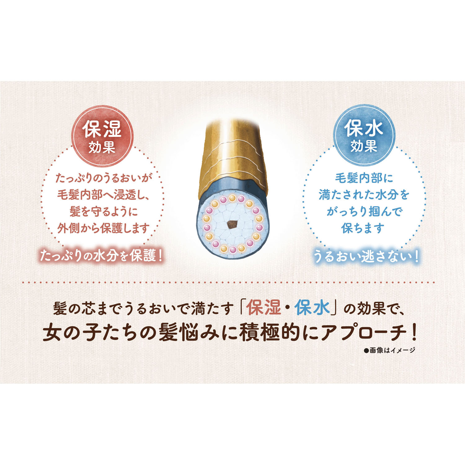 モモリつやめきまとまるヘアオイルセラム - 画像3