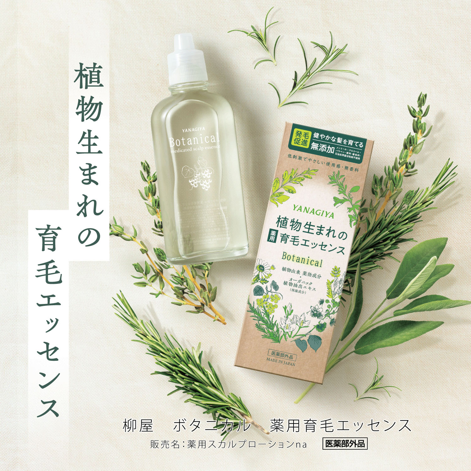 【予約可能品】ボタニカル 薬用育毛エッセンス - 画像2